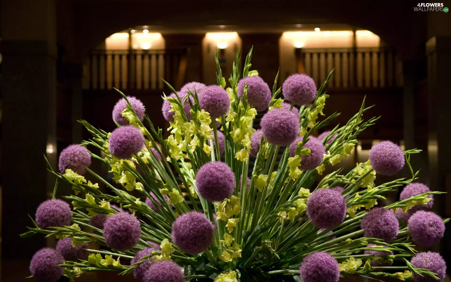 bouquet, purple, gladioli, driers