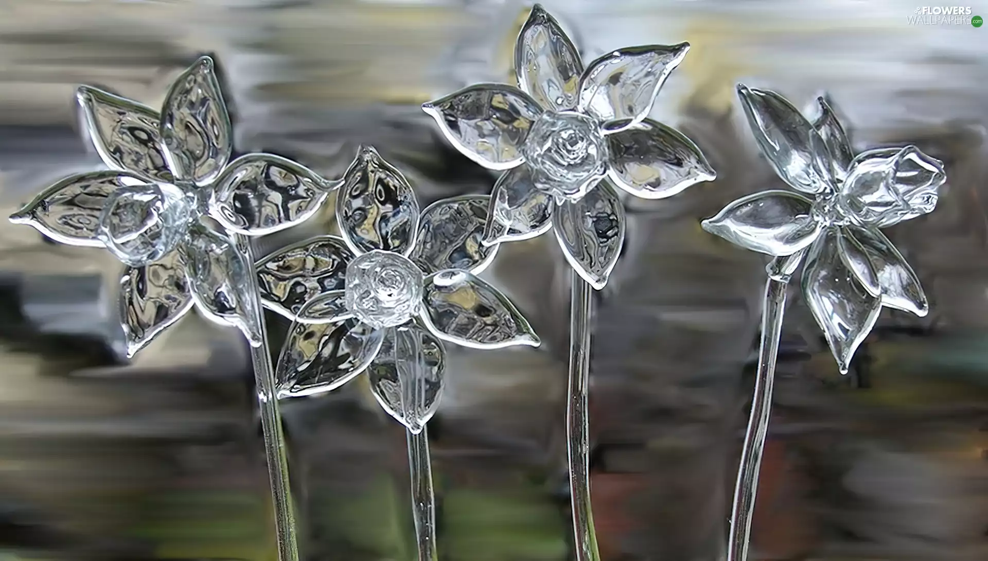 glass, Daffodils