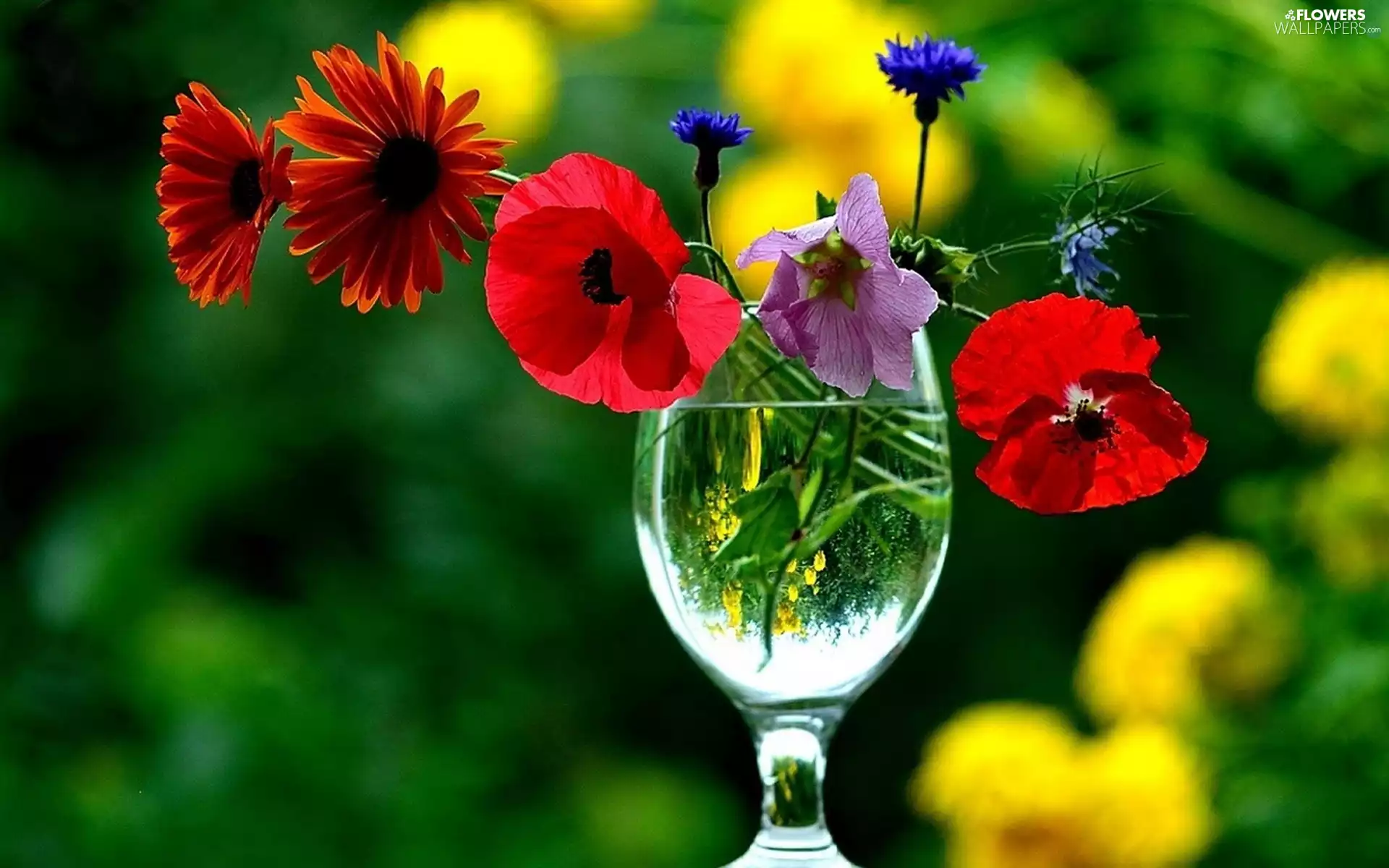 glass, bouquet, flowers