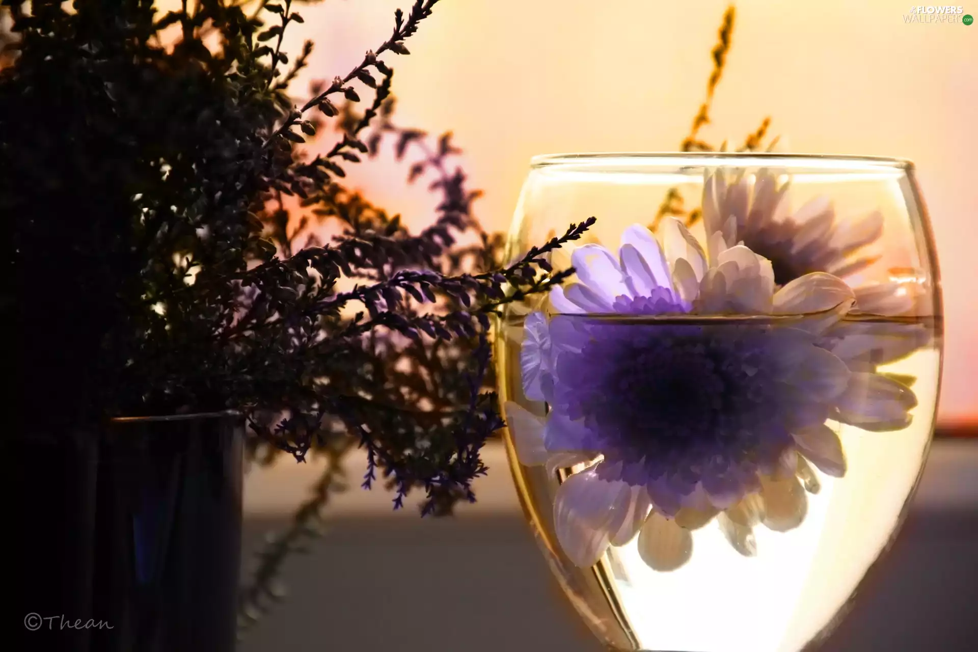 glass, heather, Flowers