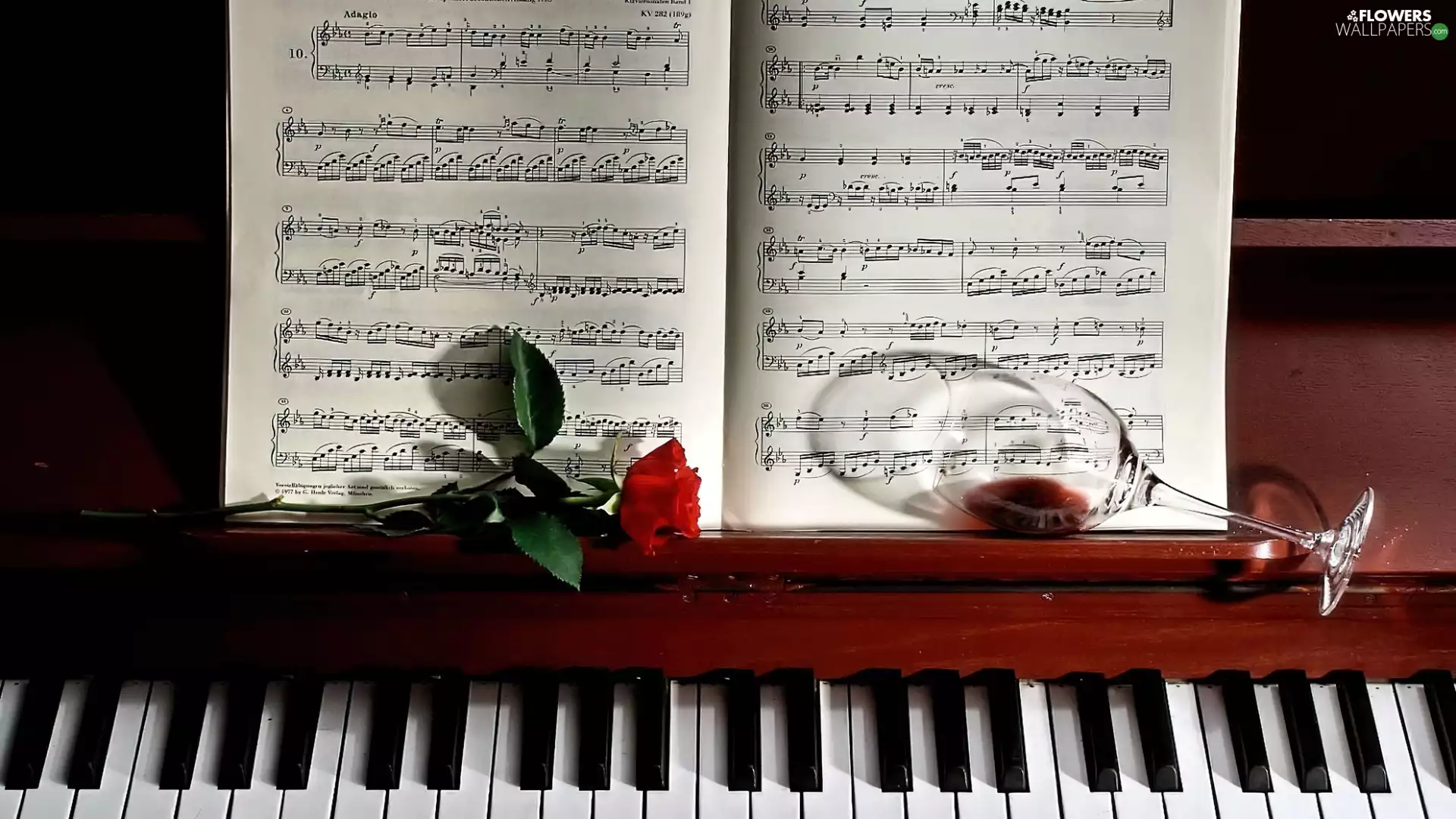 rose, Piano, glass, Tunes