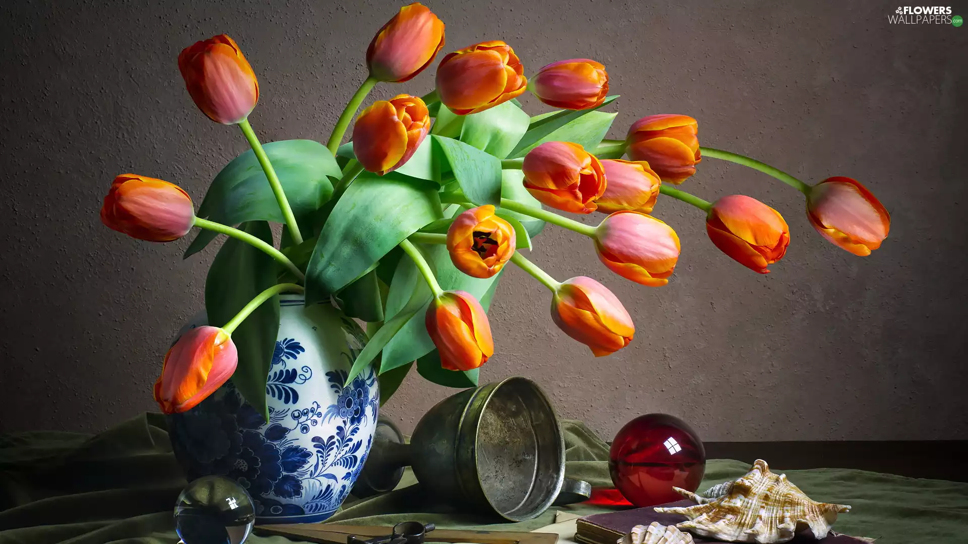 Orbs, Vase, shell, glass, Tulips, cup, composition