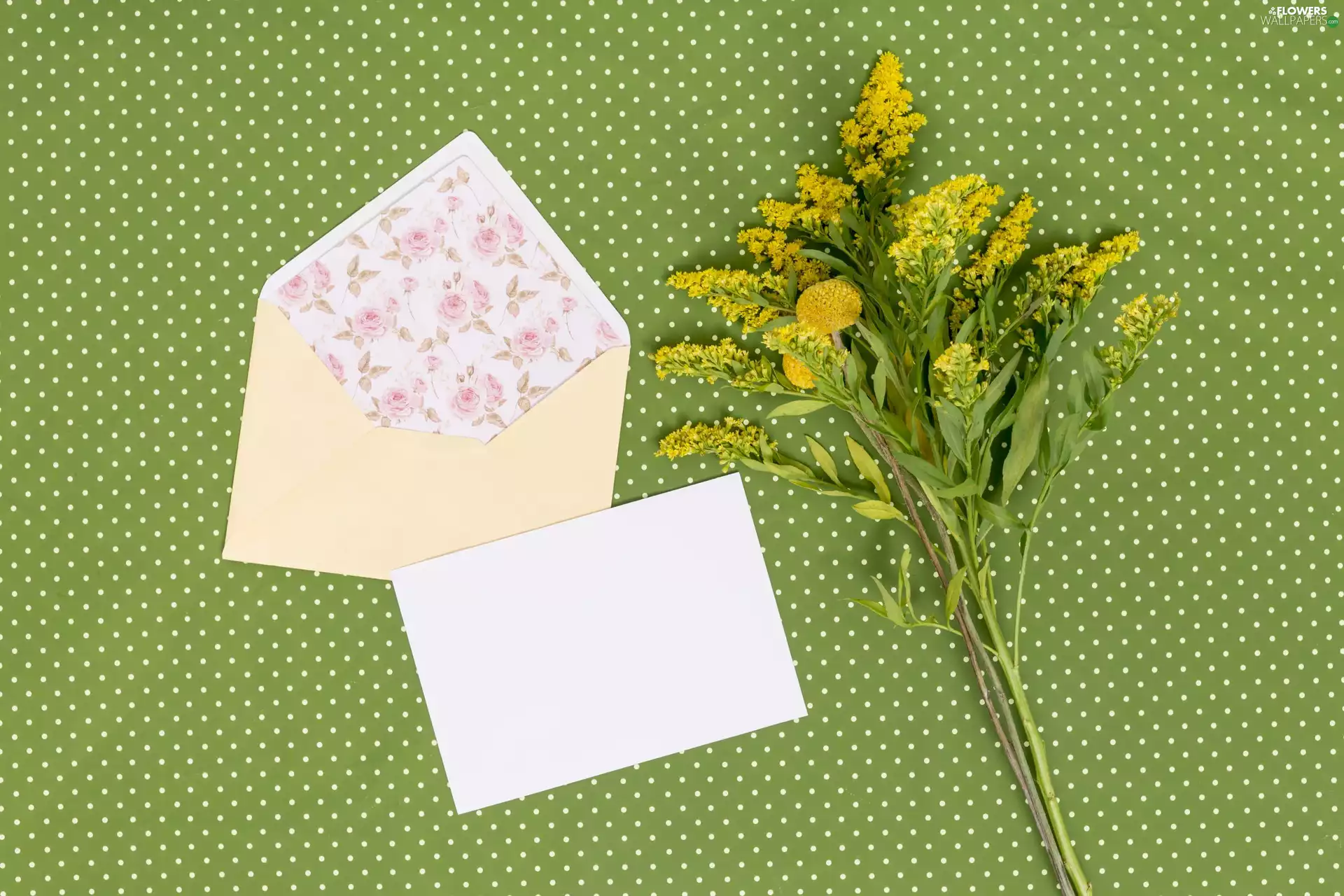 card, Green Background, Goldenrod, envelope, Flowers