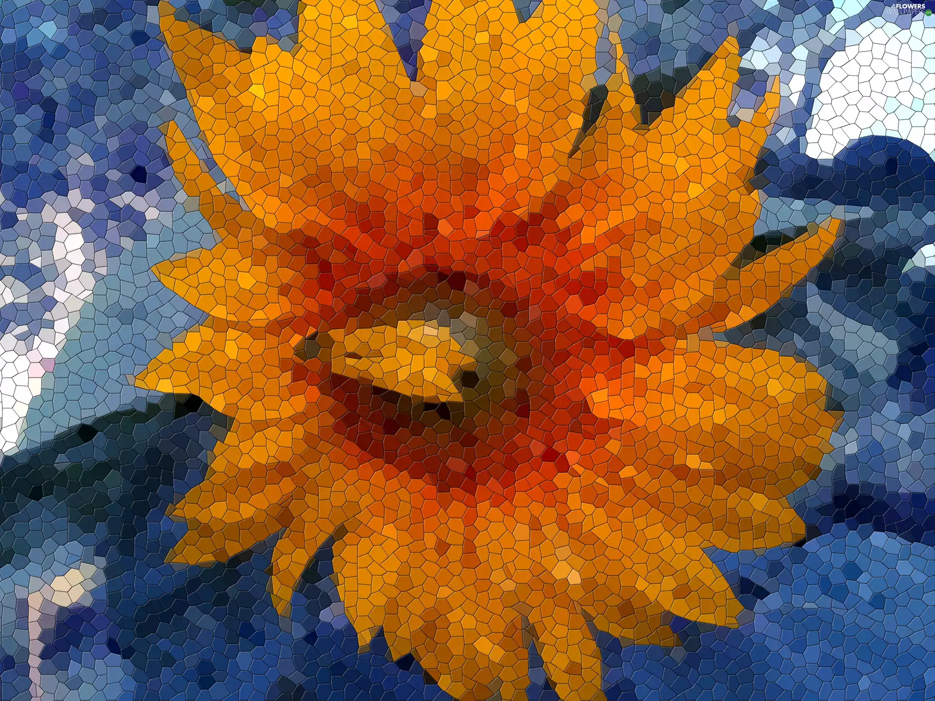 sunny, graphics, 2D, Colourfull Flowers