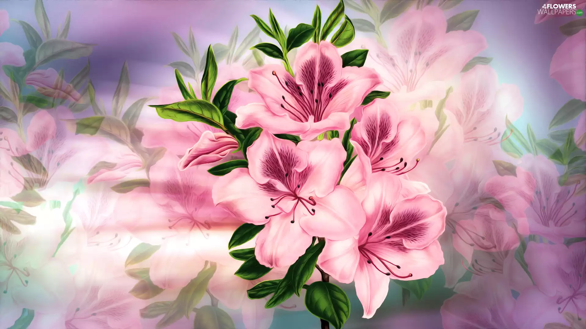 graphics, Flowers, Alstroemeria