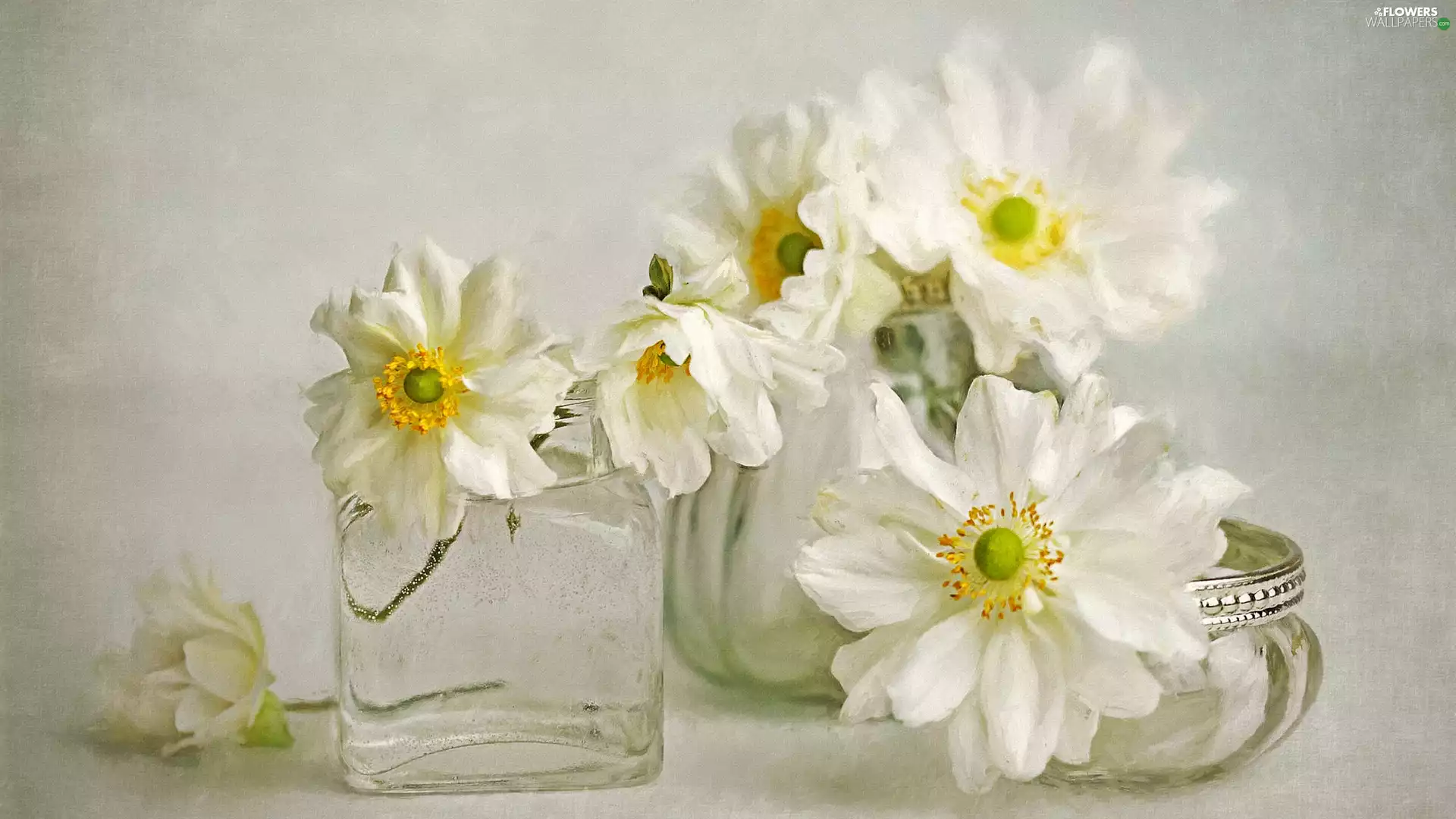 glass, Flowers, Vase, graphics, dishes, Anemones