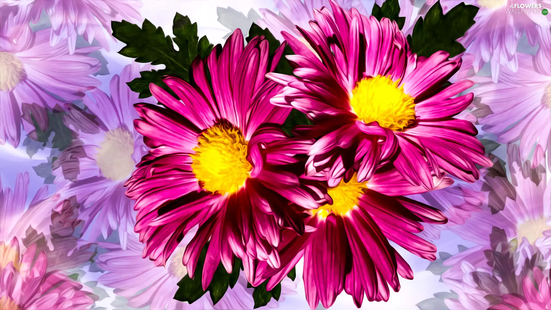 graphics, Flowers, Astra