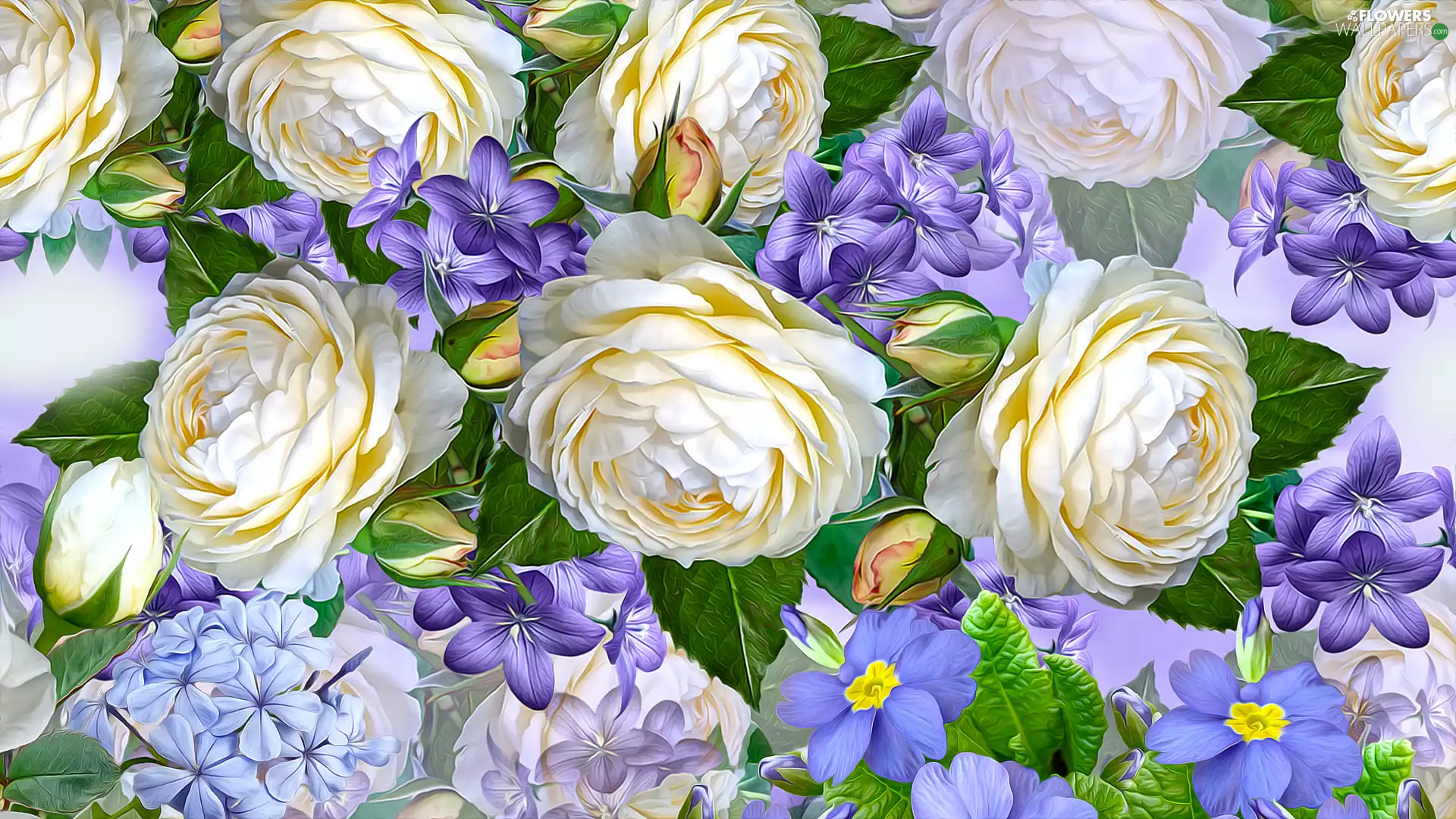 Flowers, purple, roses, graphics, White, Blue