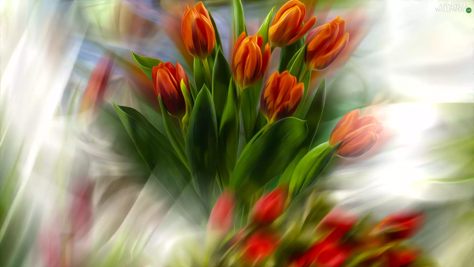 Tulips, graphics, blurry background, bouquet
