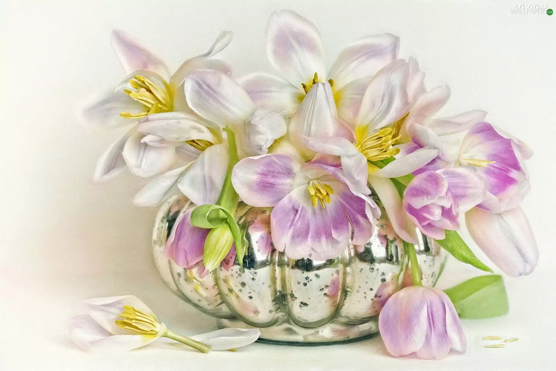 Tulips, graphics, bouquet, Flowers, Vase