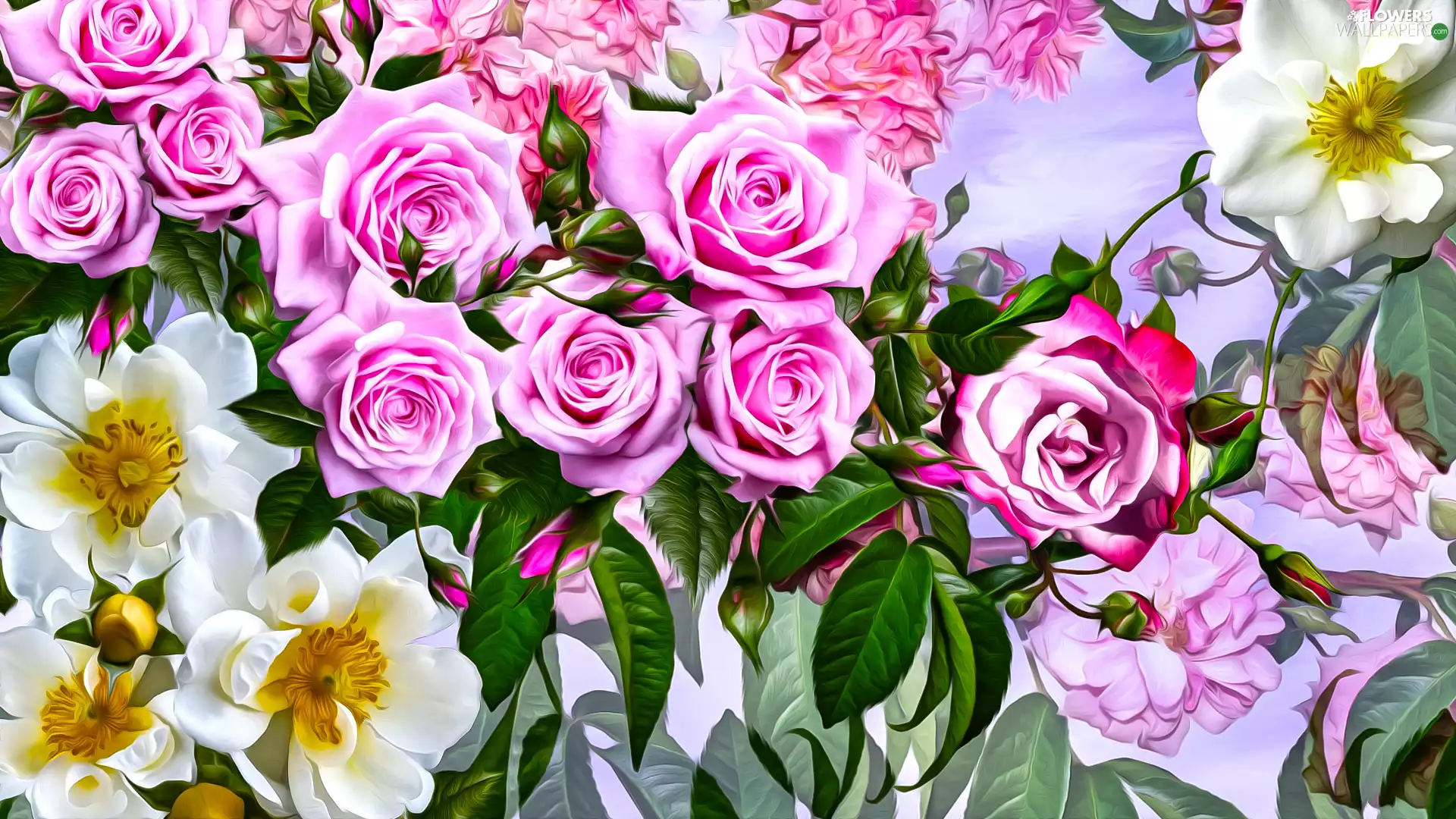 roses, graphics, Briar, Pink, Flowers