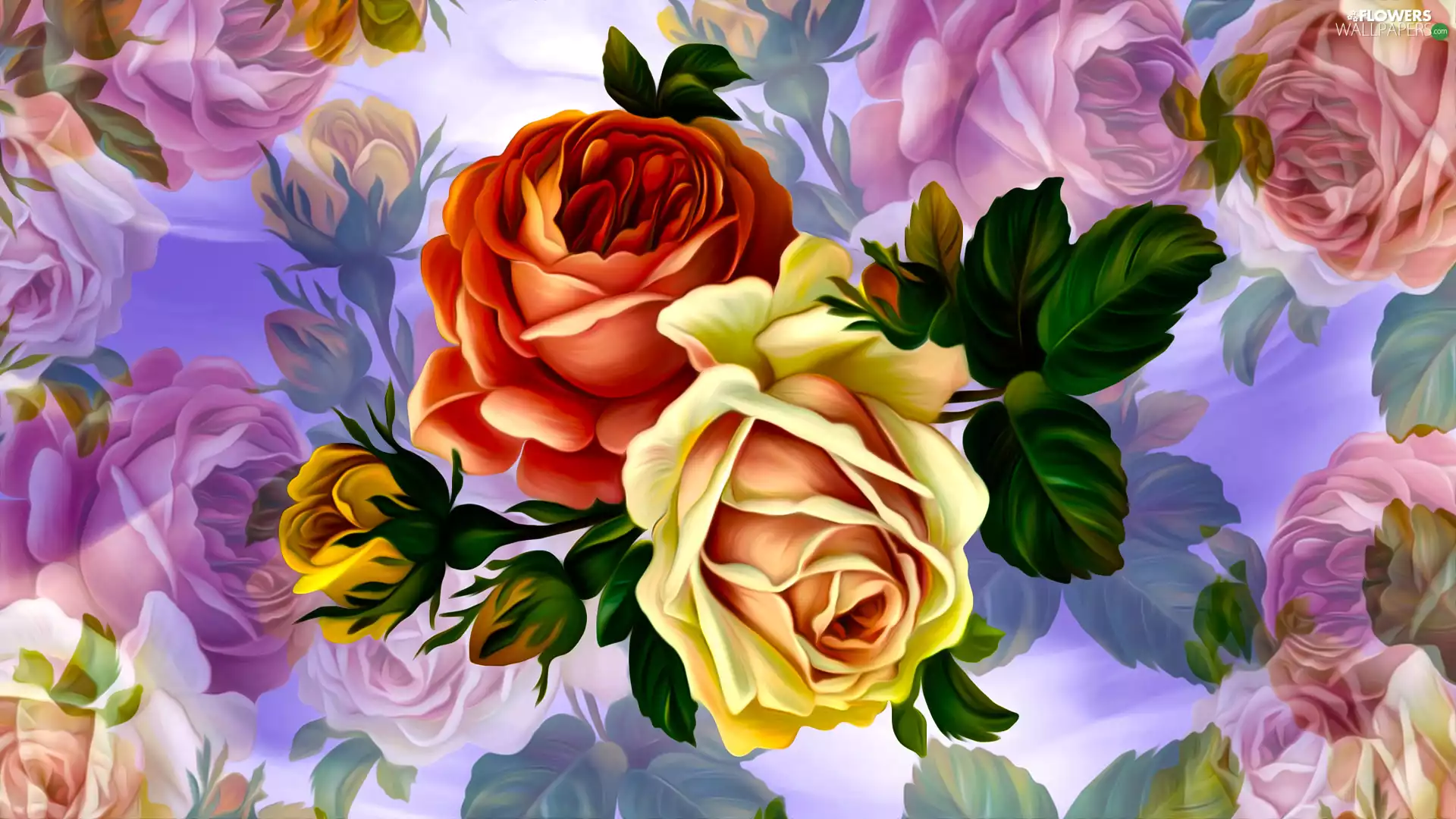 Two, Flowers, roses, graphics, developed, Buds
