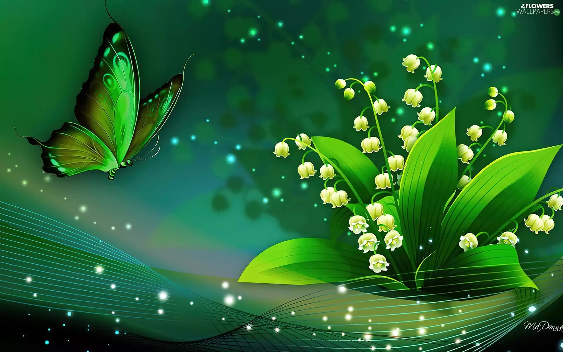 2D Graphics, butterfly, lilies, butterfly