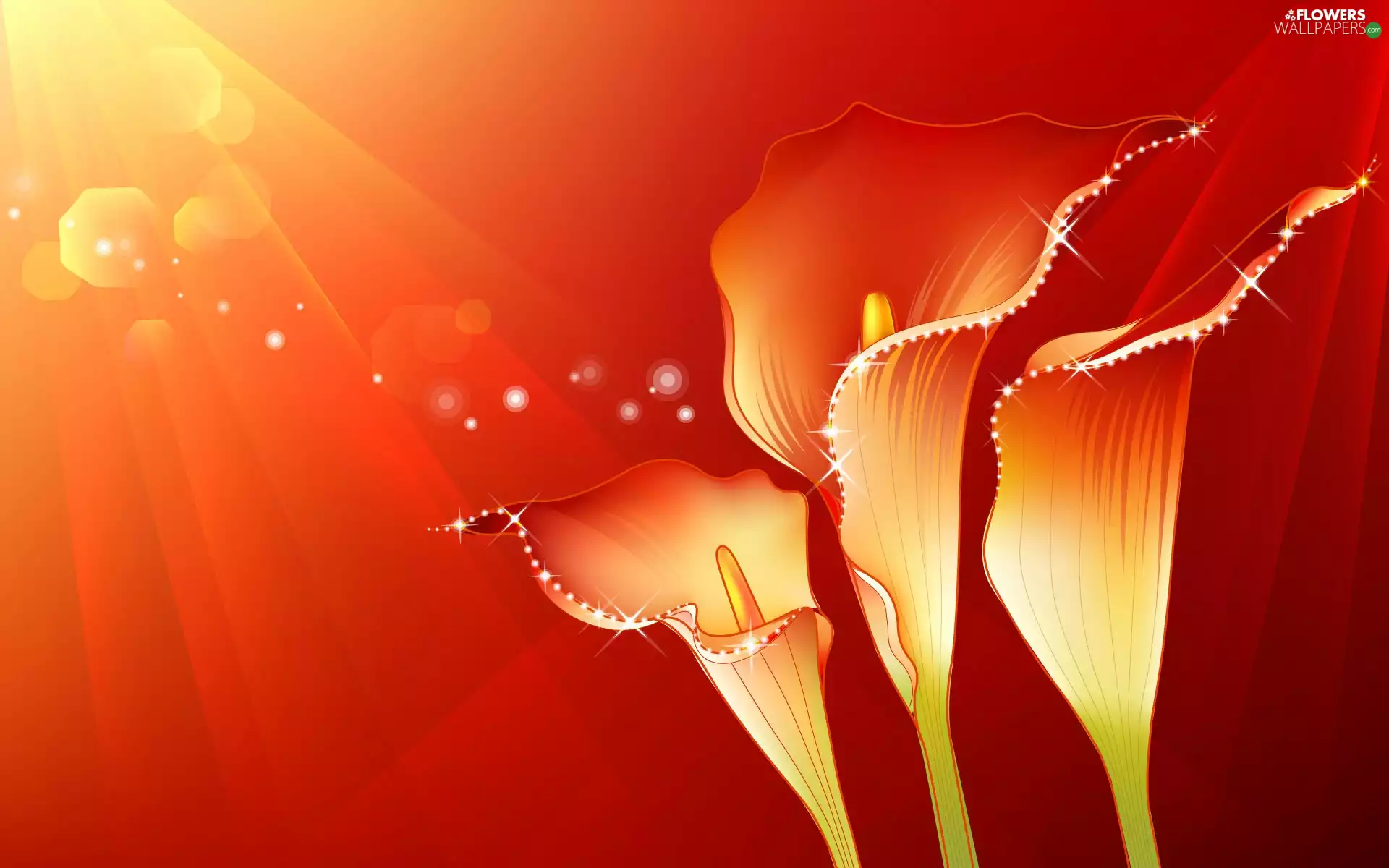 graphics, Three, Calla