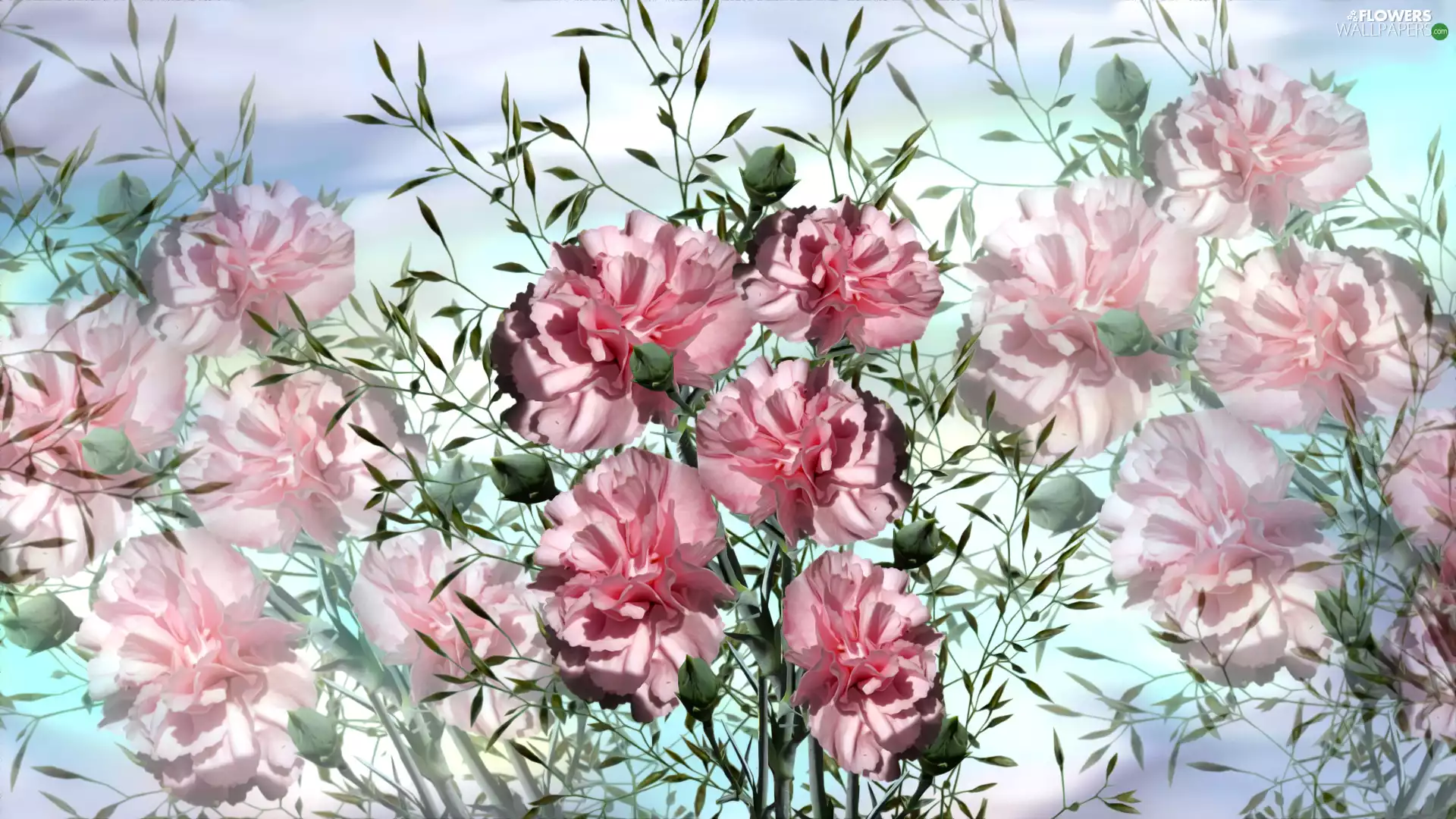 graphics, Flowers, cloves