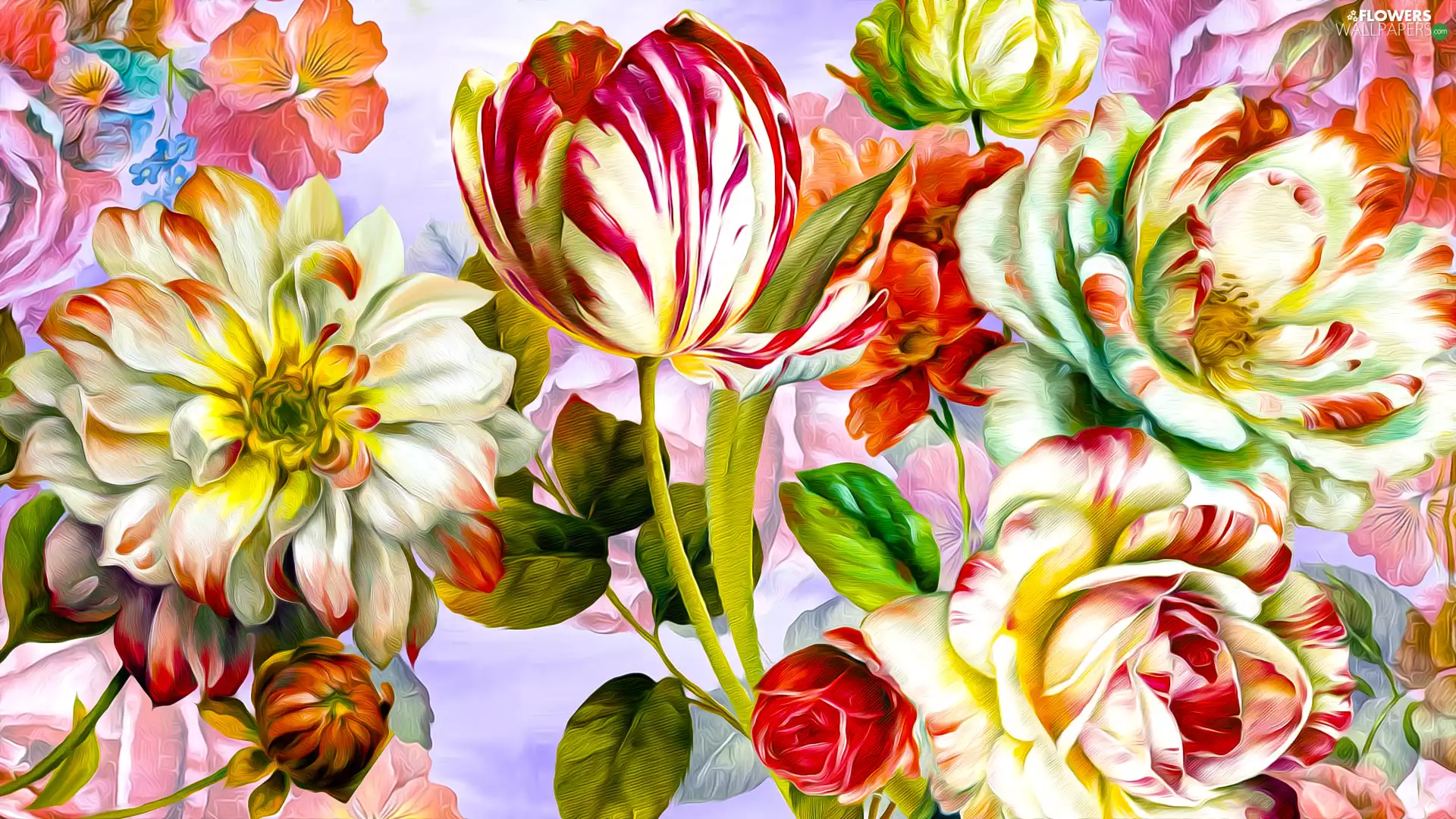 tulip, graphics, color, roses, Flowers