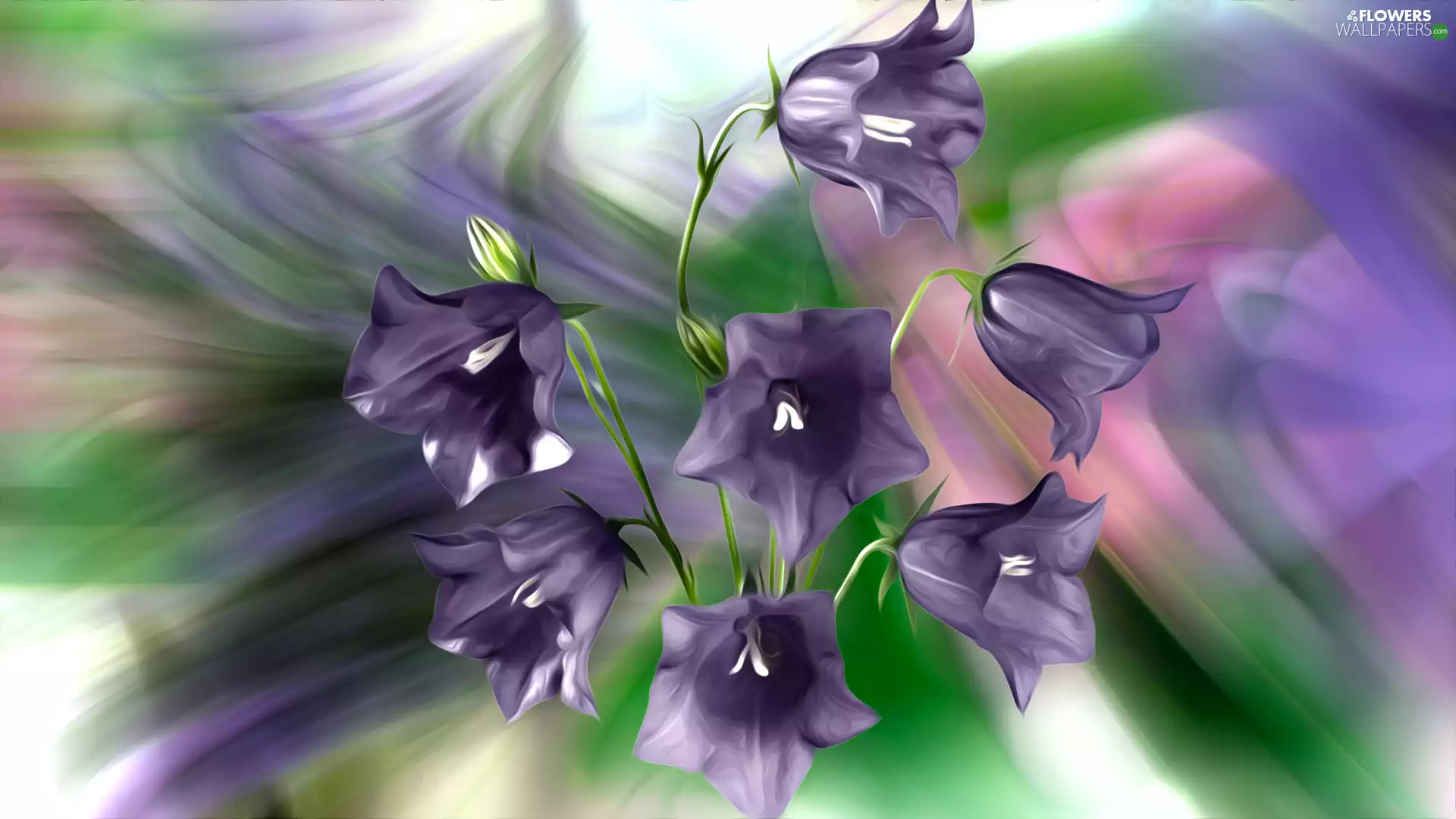 Flowers, graphics, Colorful Background, ringtones