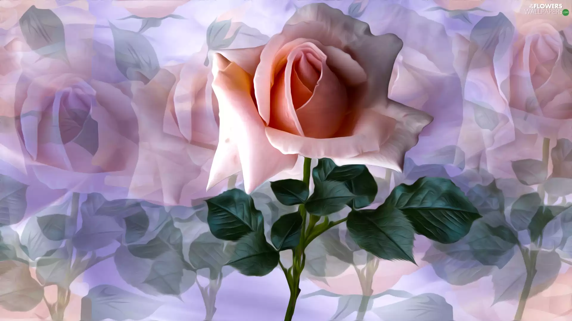 Pink, graphics, Colorful Background, rose