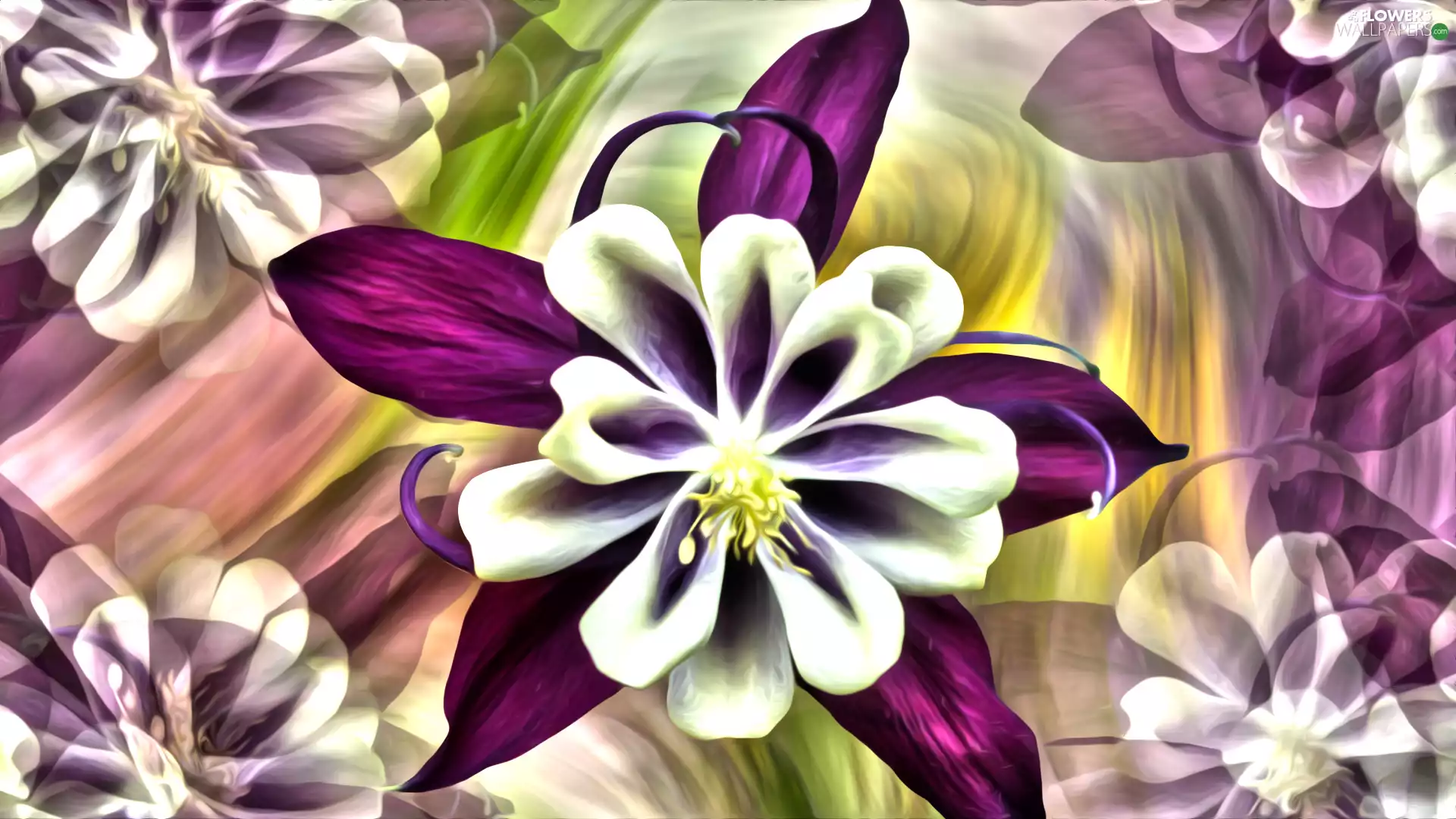 graphics, Flowers, columbine