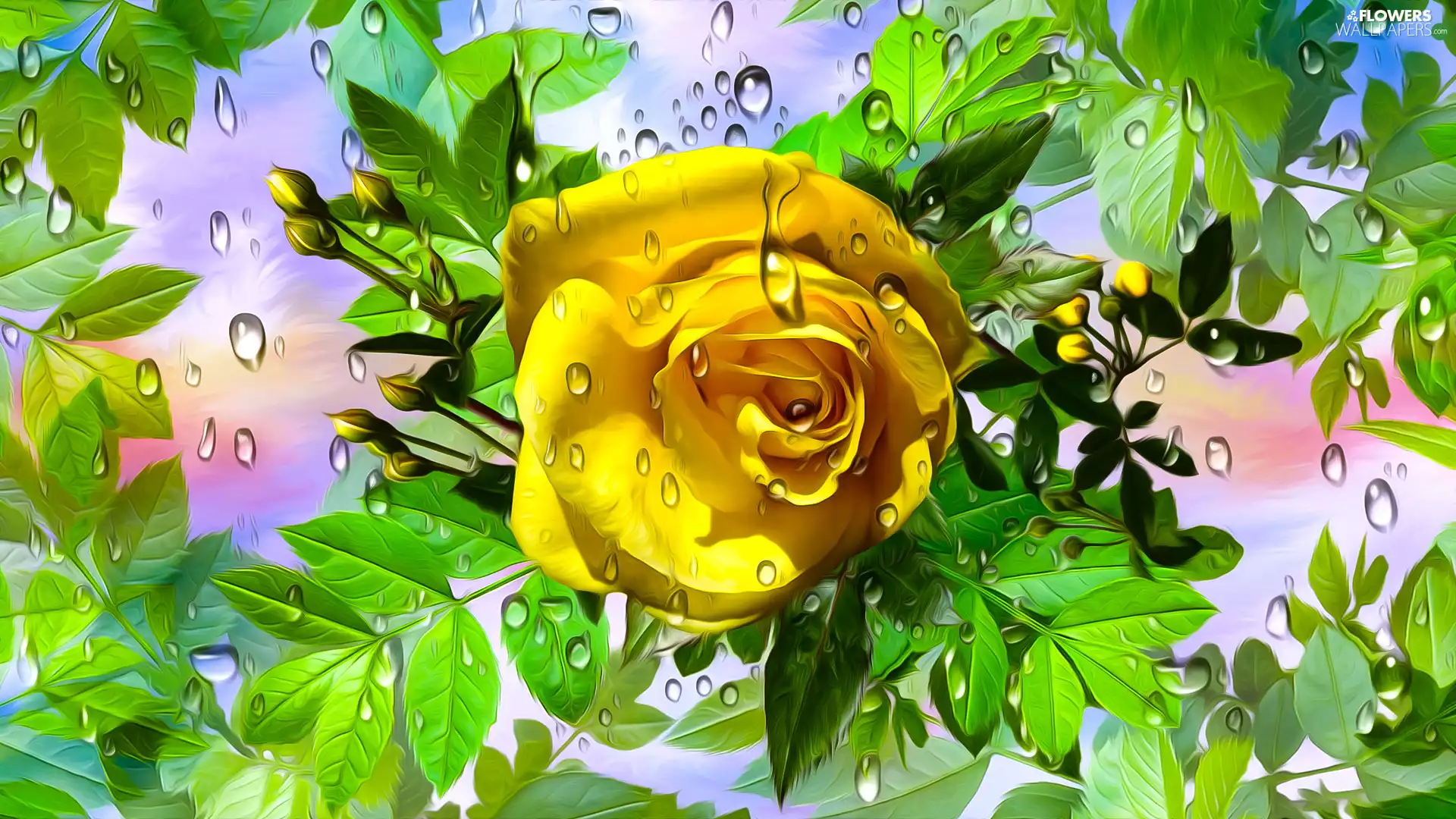 rose, Flowers, drops, graphics, leaves, Yellow Honda