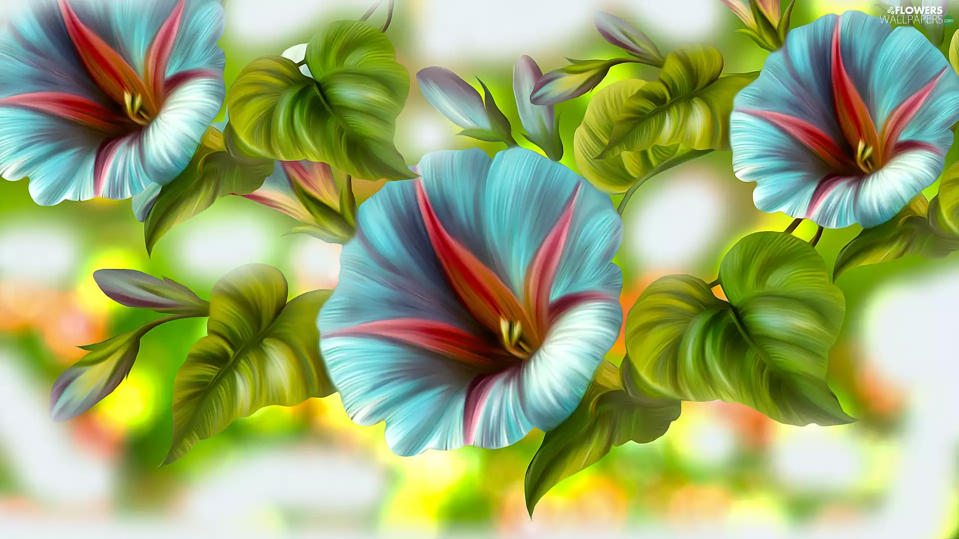 Leaf, graphics, Flowers, bindweed, Blue