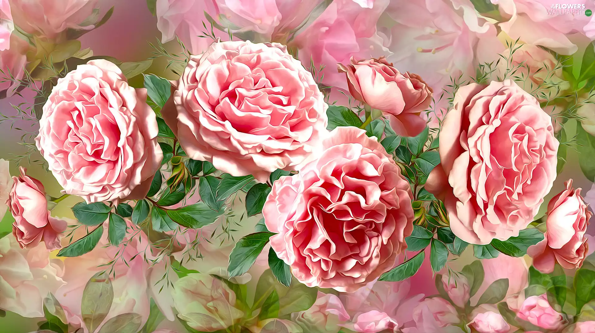 roses, graphics, Flowers, developed, Pink