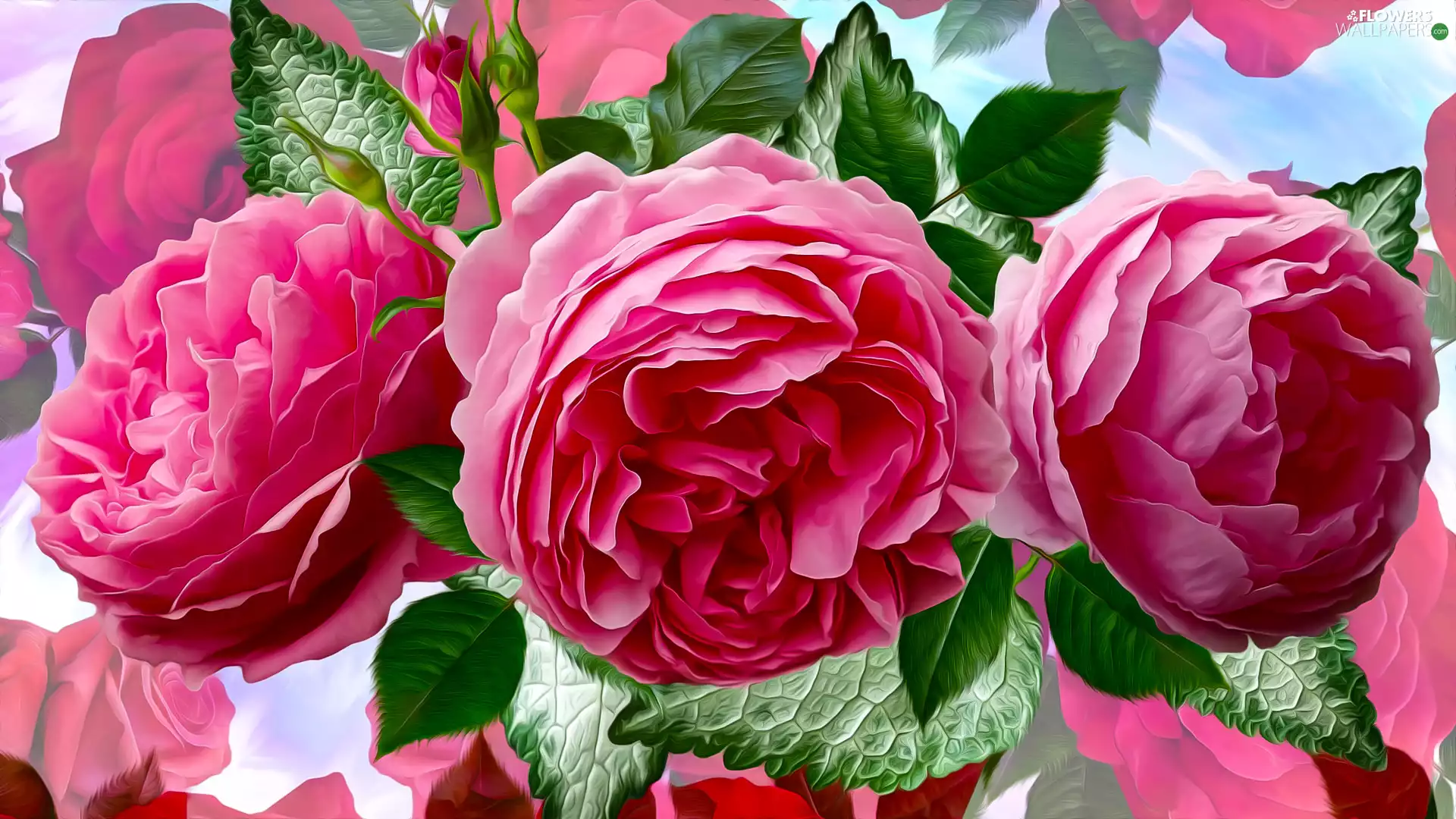 Pink, graphics, Flowers, roses, Three