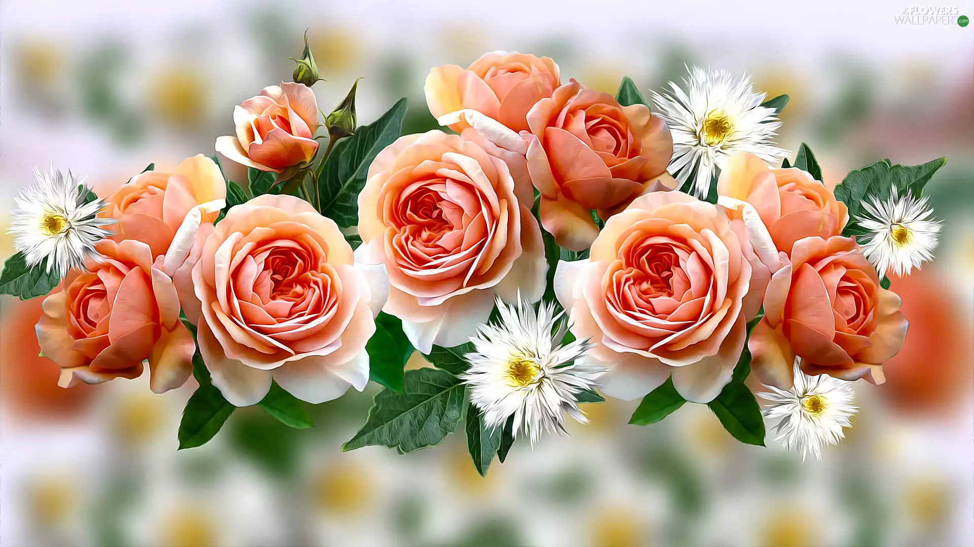 roses, graphics, Flowers, tea, White