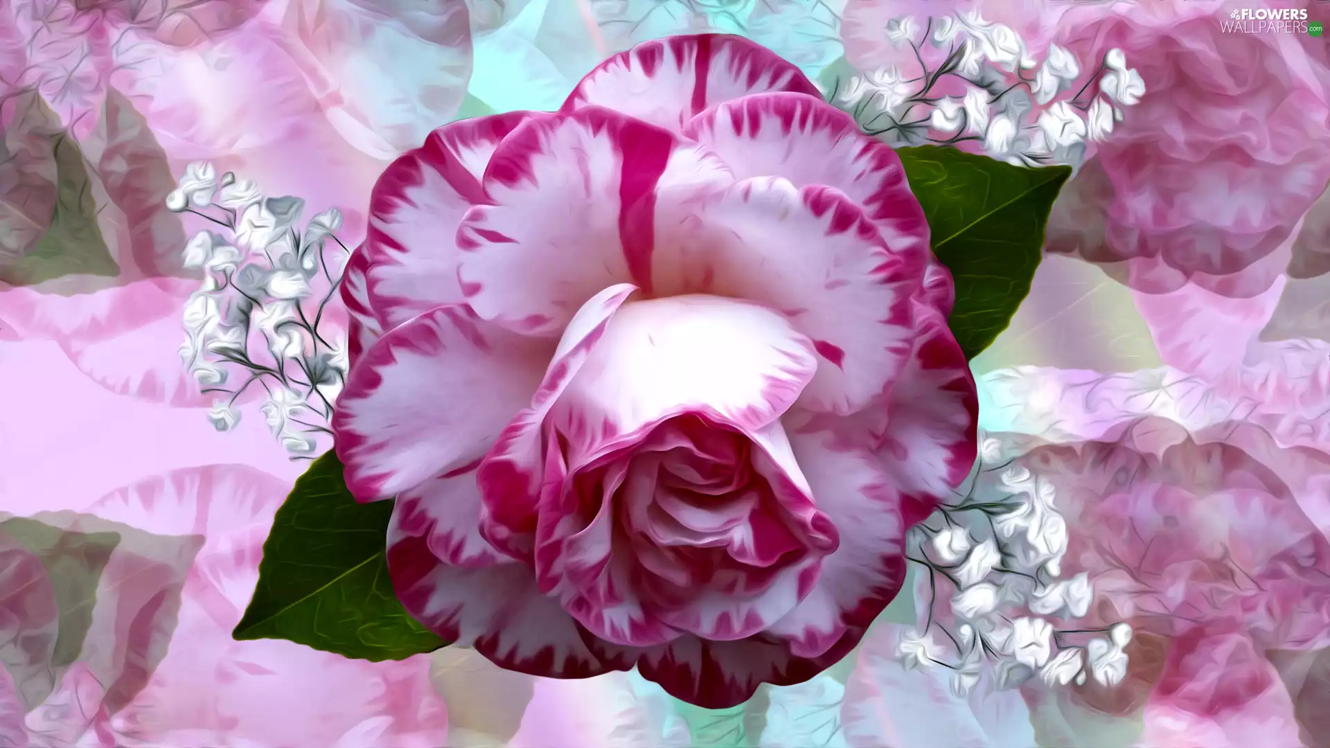 graphics, rose, Gipsówka