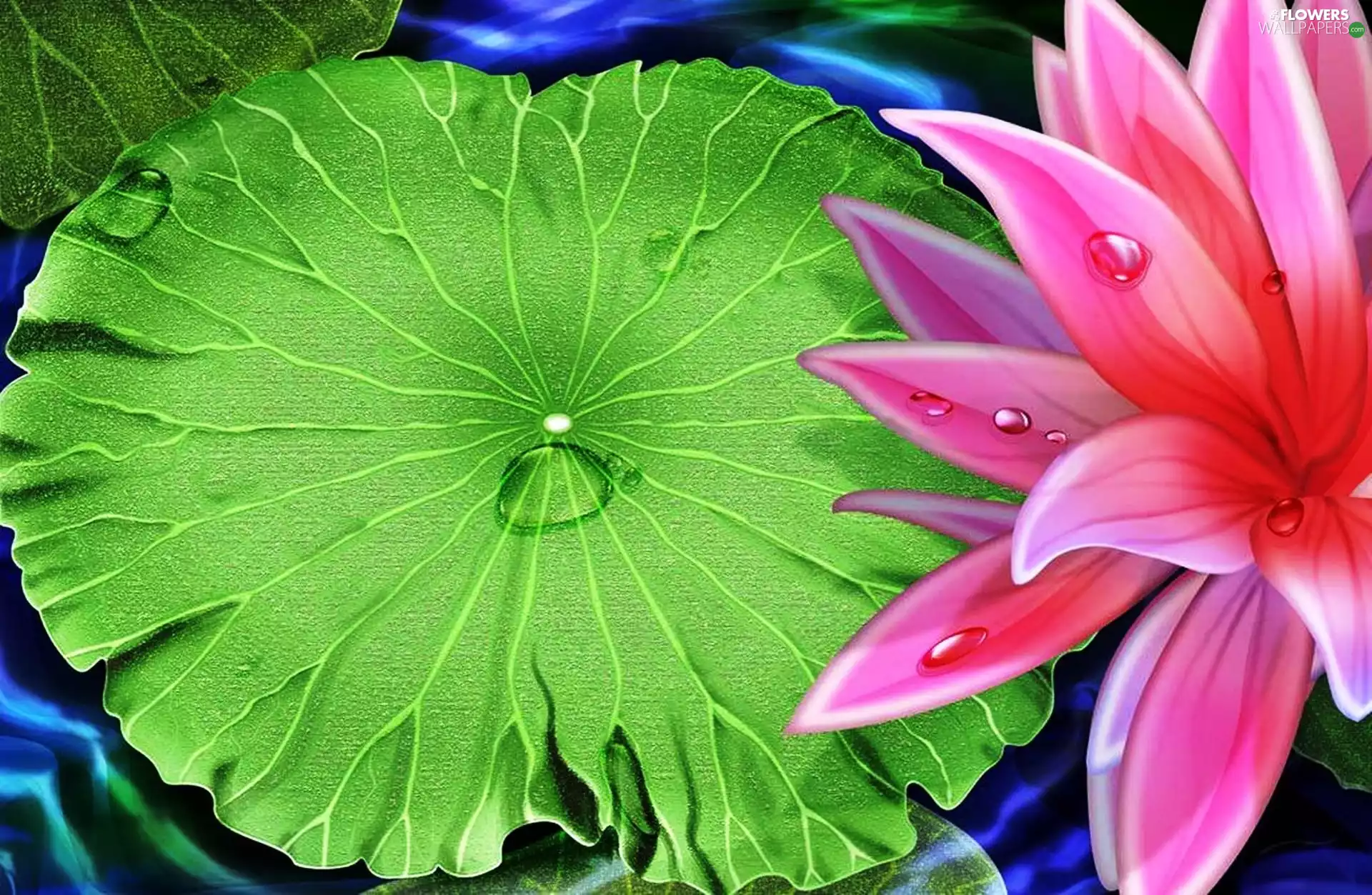 Lily, Leaf, graphics, green ones