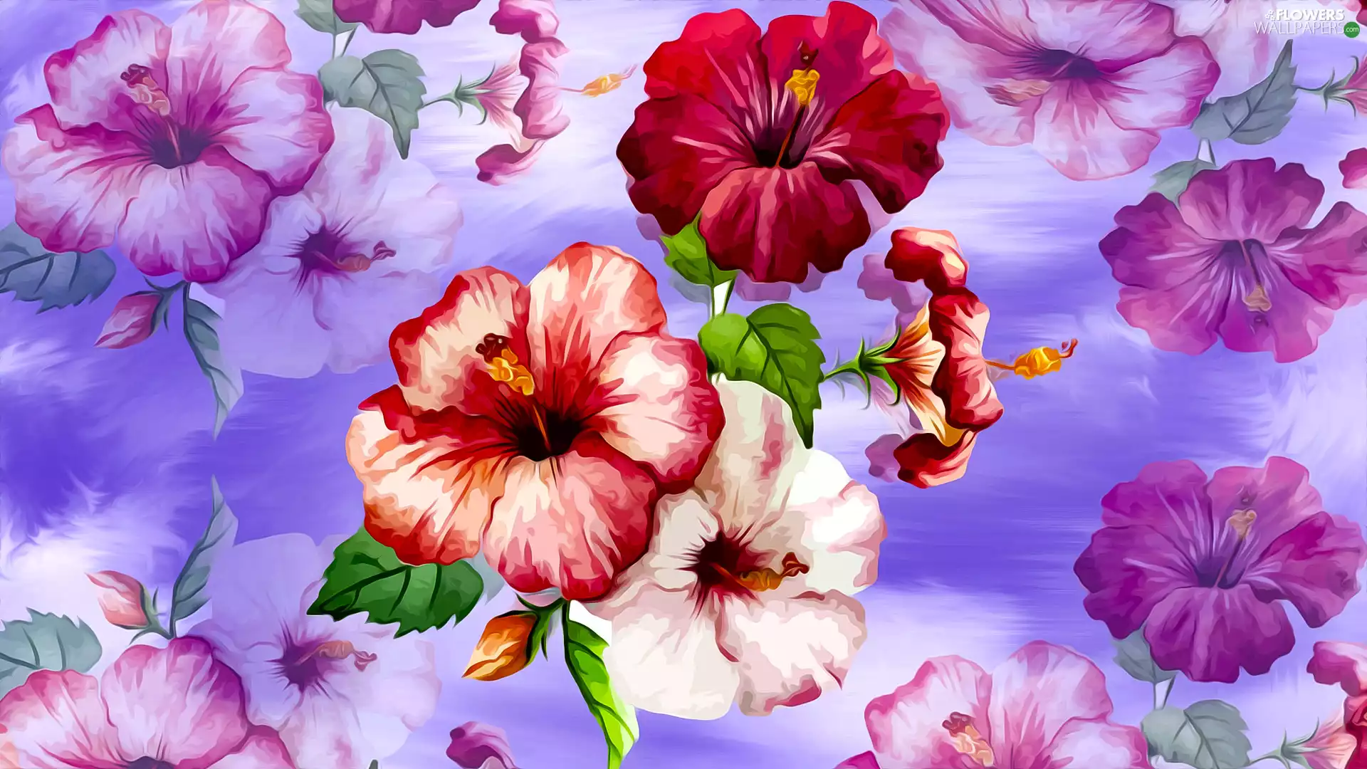 graphics, Flowers, hibiscus