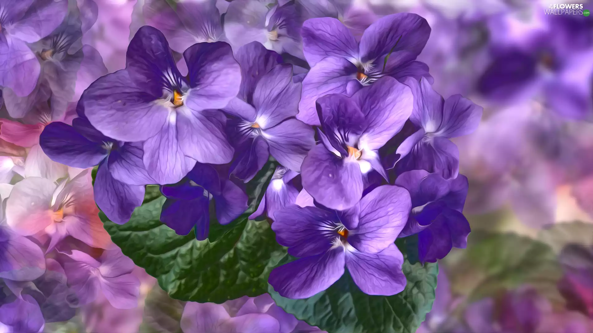 purple, graphics, leaves, Violets, Flowers