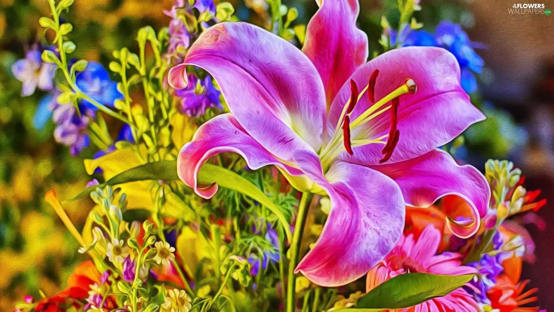 graphics, Pink, Lily