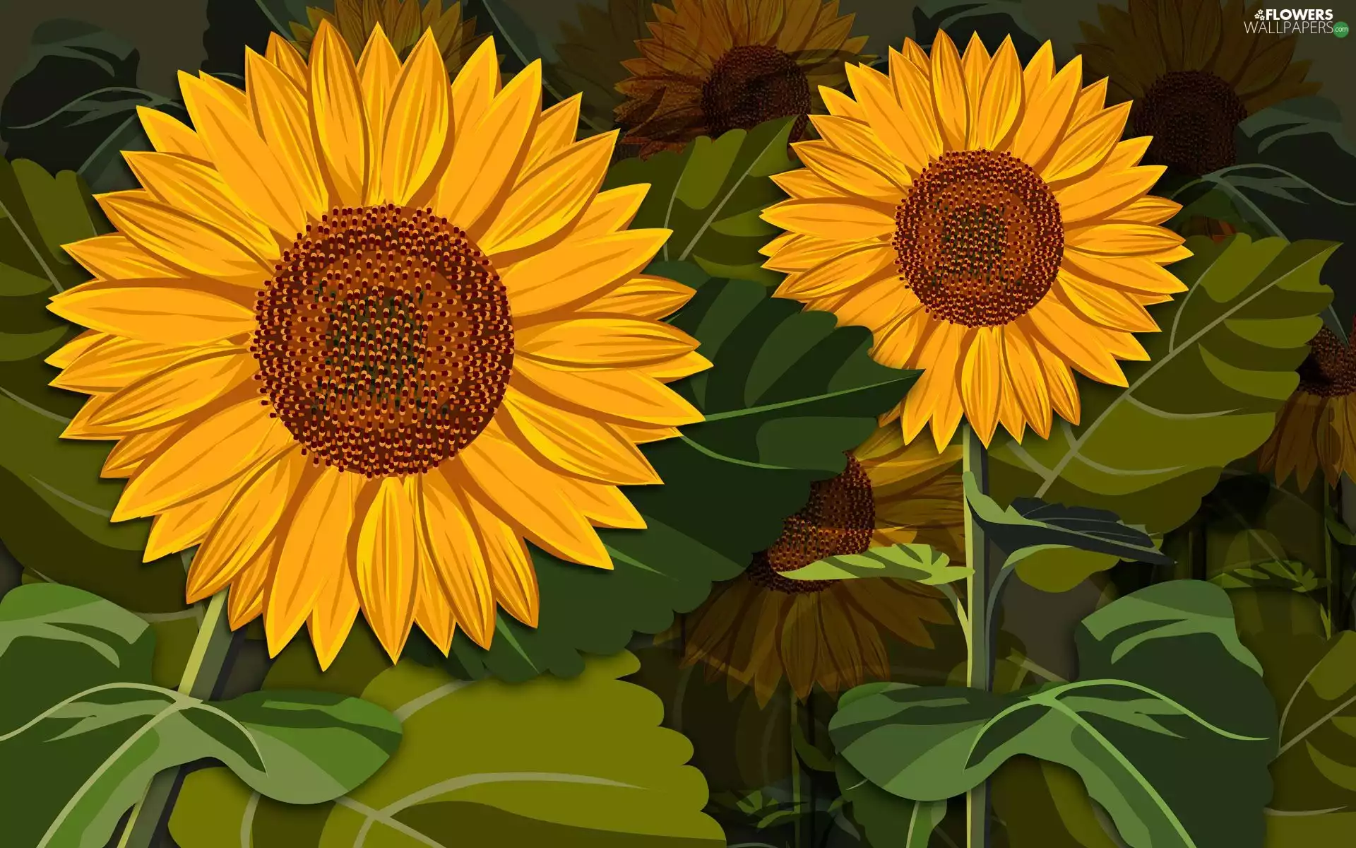 2D Graphics, Nice sunflowers, ornamental
