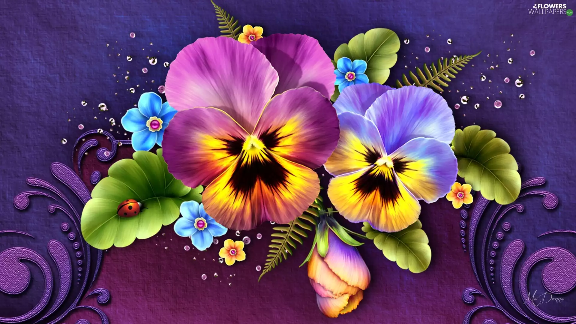 graphics, pansies