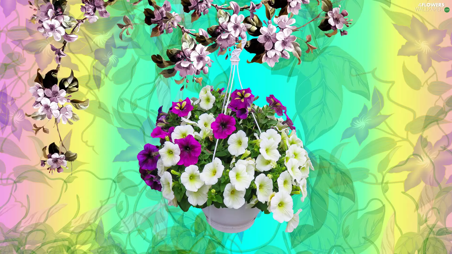 pot, graphics, Petunia, Twigs, Flowers