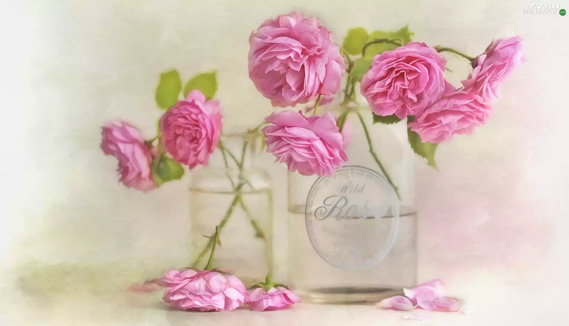 roses, Flowers, dishes, graphics, glass, Pink