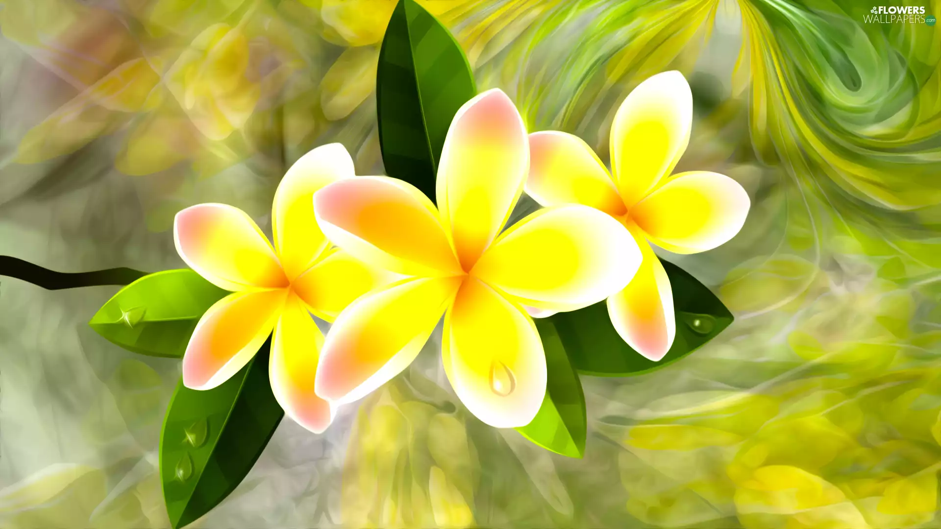 graphics, Flowers, Plumeria