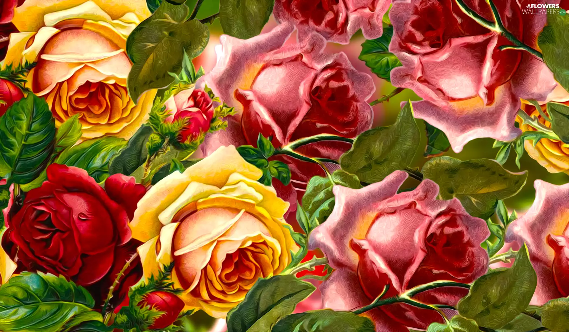 graphics, color, roses
