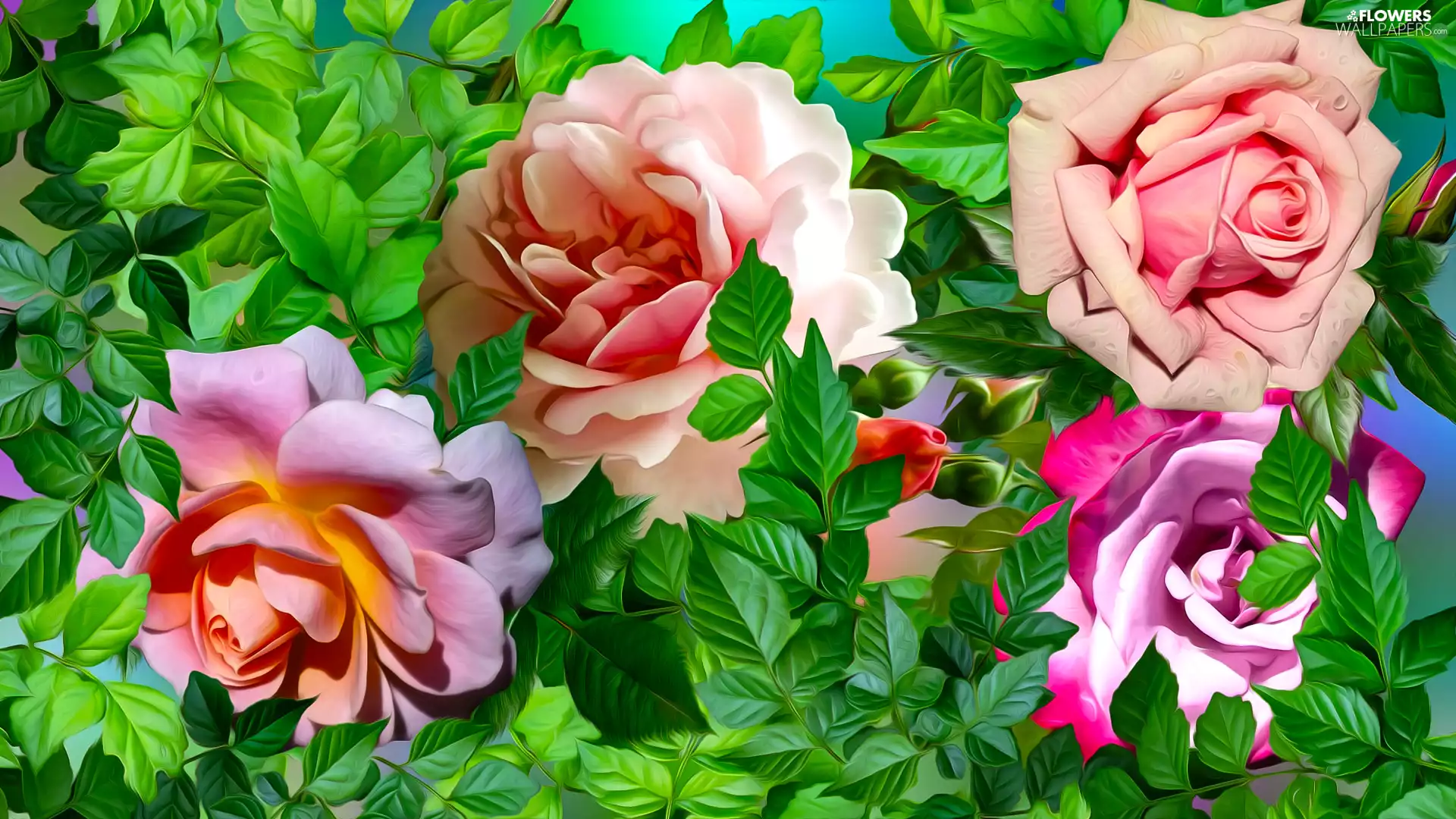 leaves, graphics, roses, Buds, Flowers