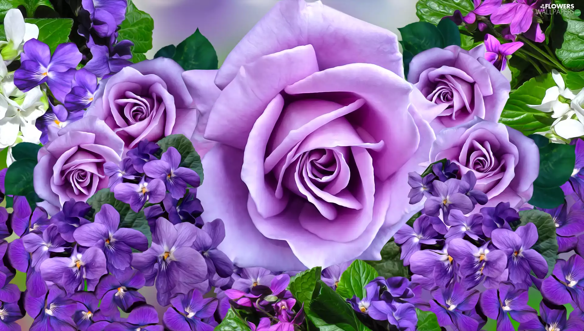 Violets, graphics, roses, purple, Flowers