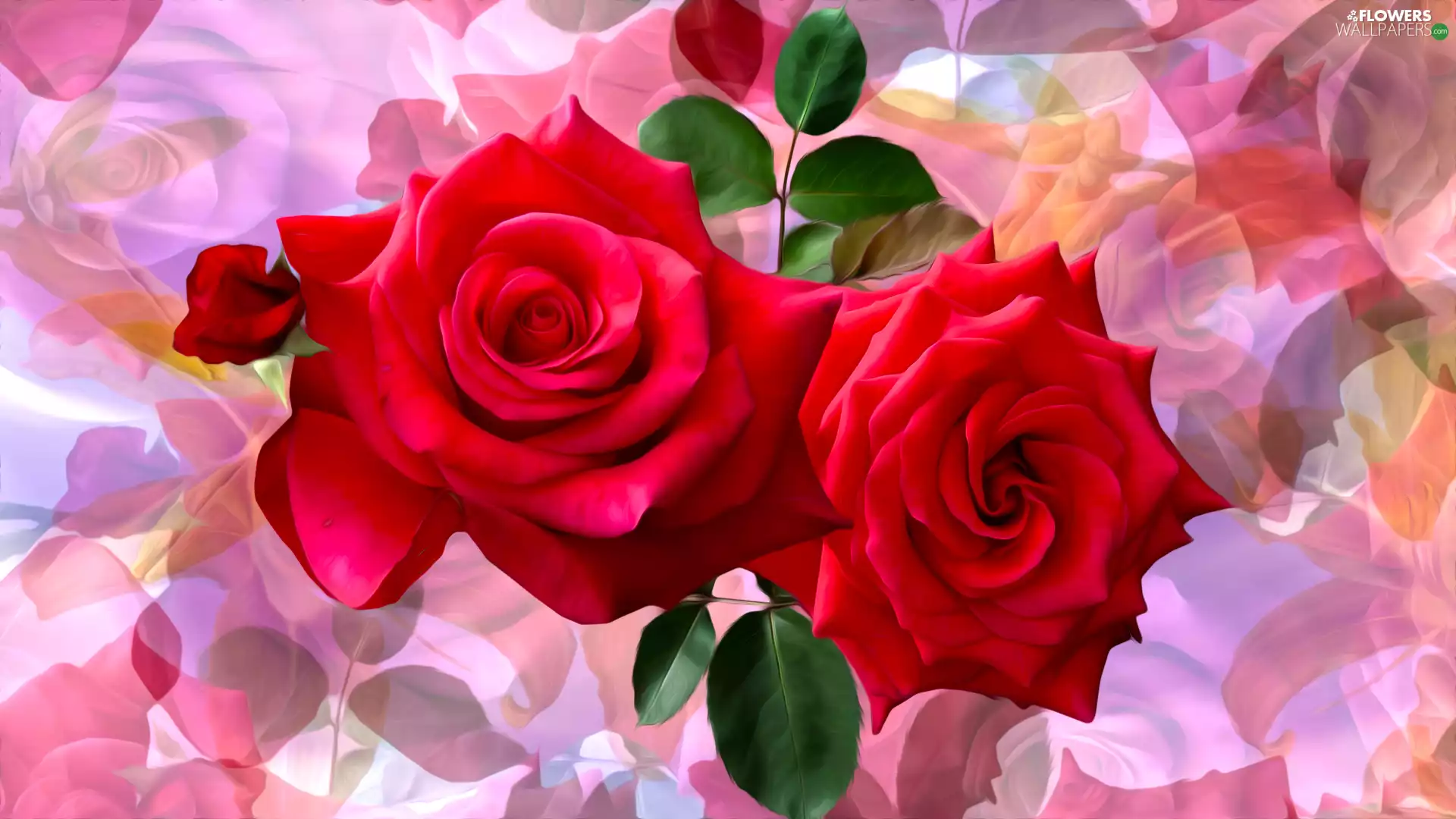 Red, graphics, roses, Two, Flowers