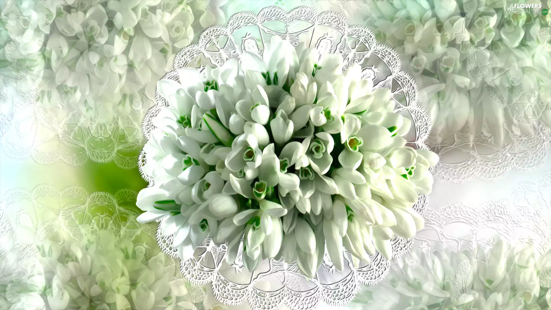 tablecloth, graphics, snowdrops, bouquet, Flowers