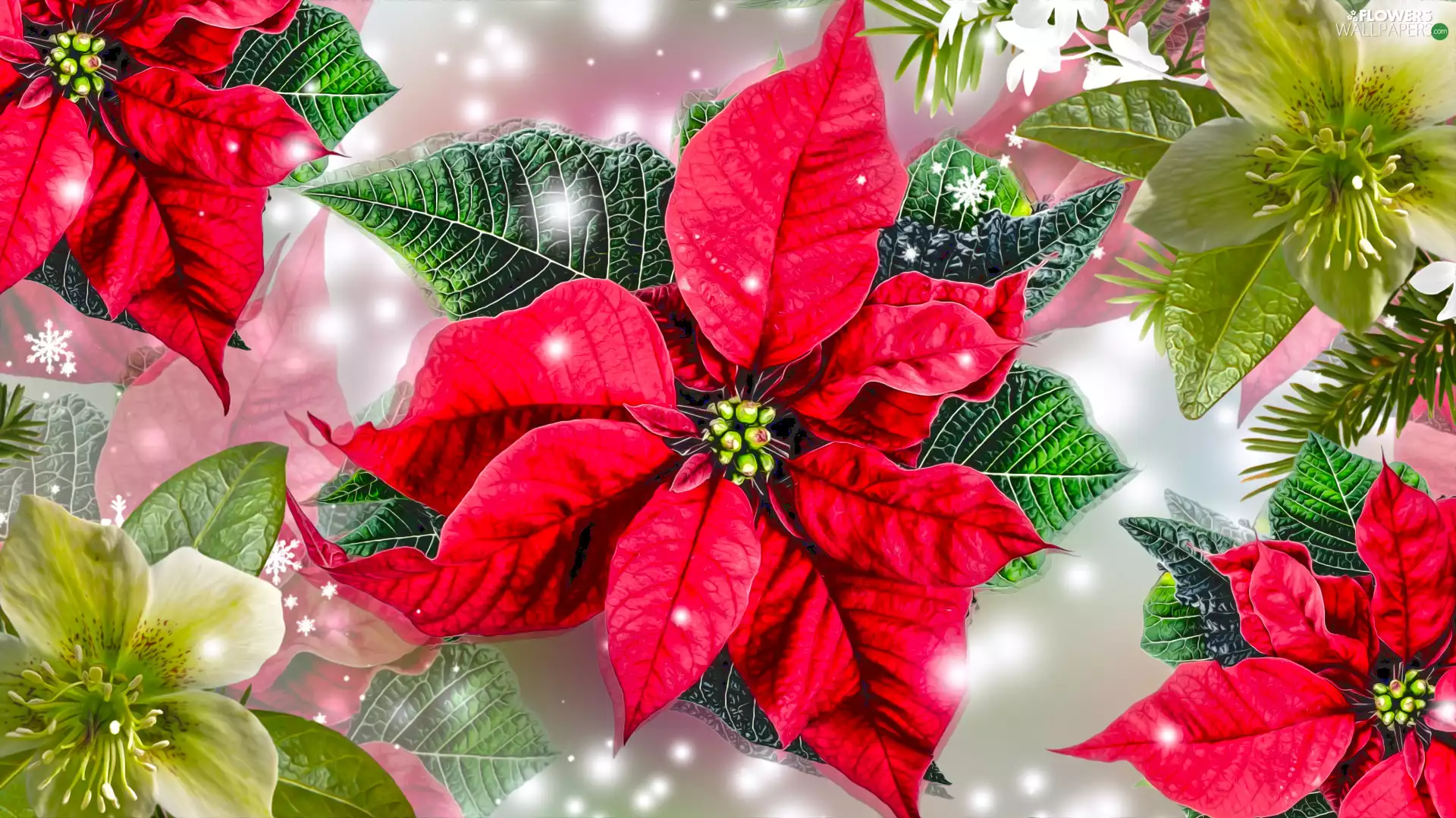 star of Bethlehem, graphics