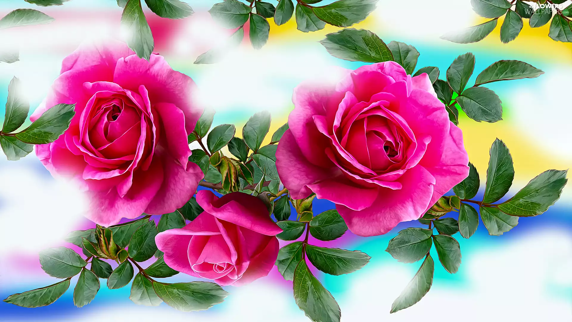 Leaf, graphics, Three, roses, Flowers