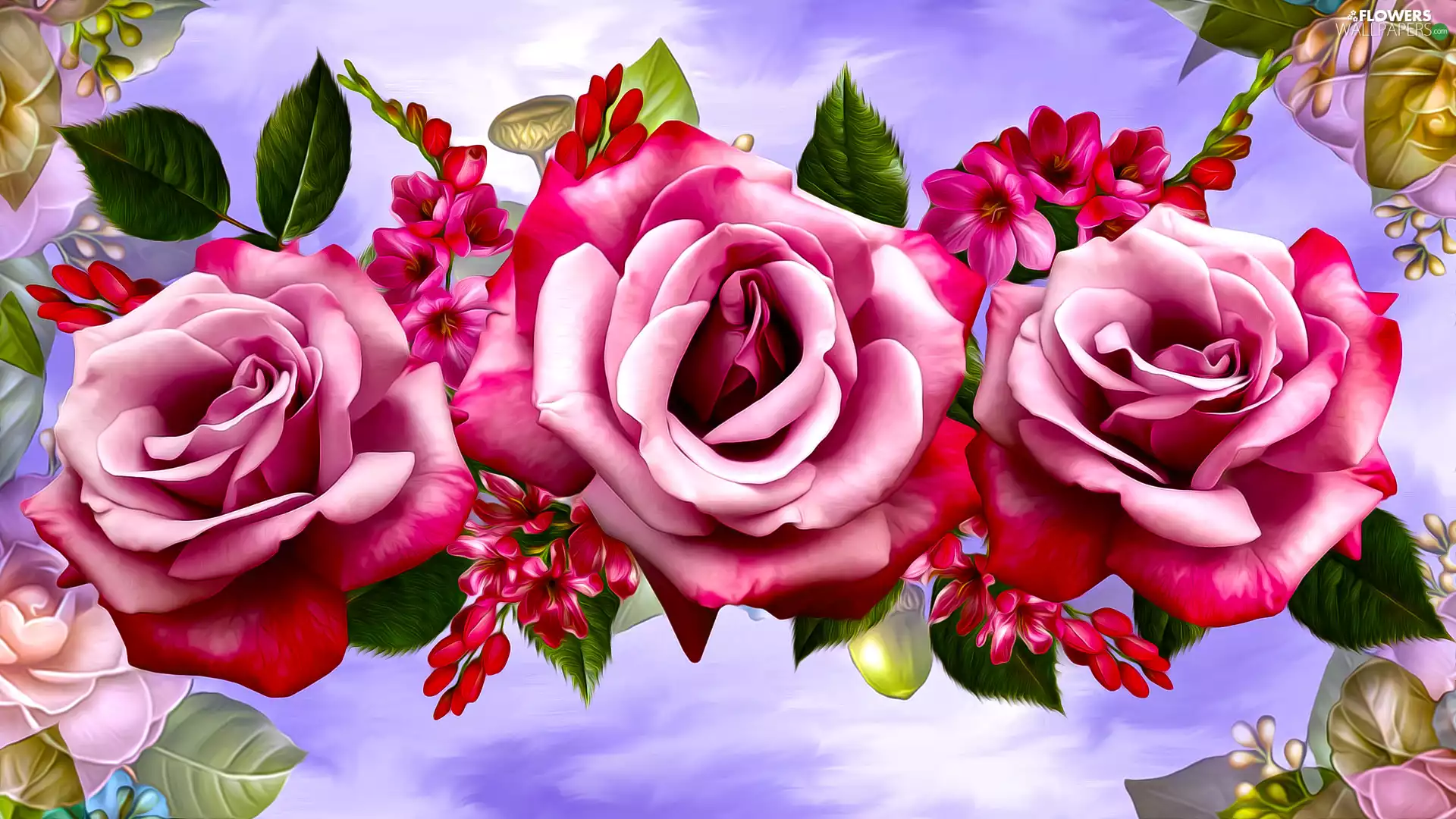 Pink, graphics, Three, roses, Flowers