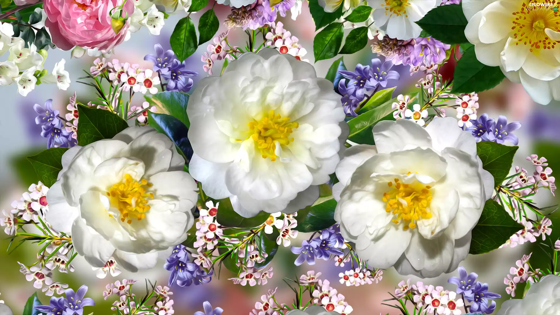 roses, graphics, Three, White, Flowers