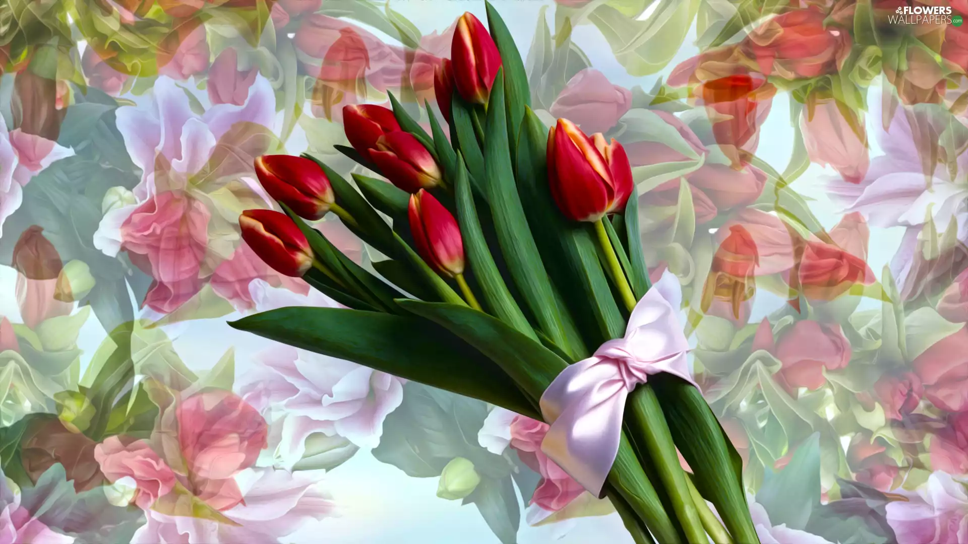bow, graphics, Tulips, bouquet, Flowers