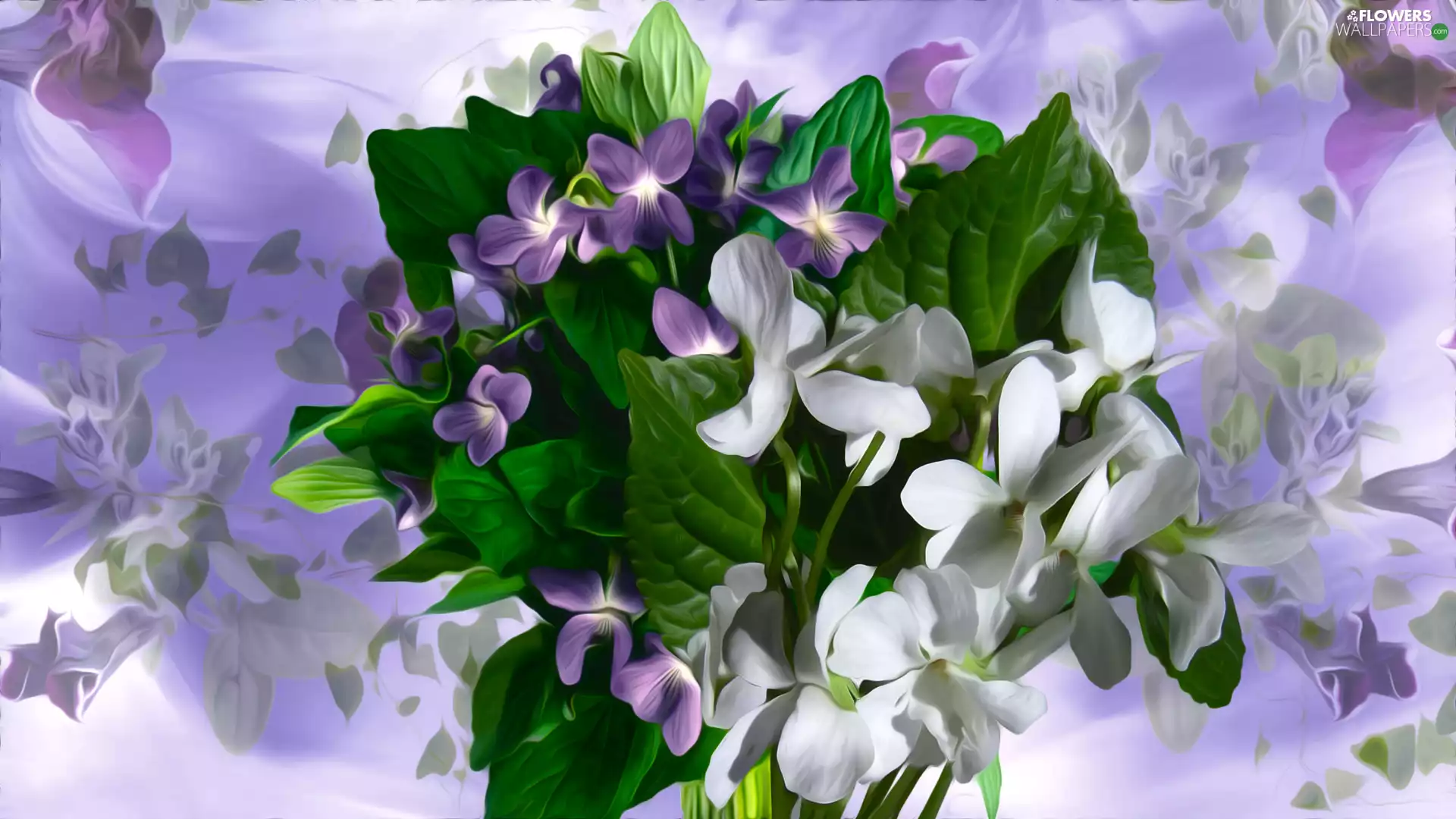 graphics, Flowers, Violets - Flowers wallpapers: 1920x1080