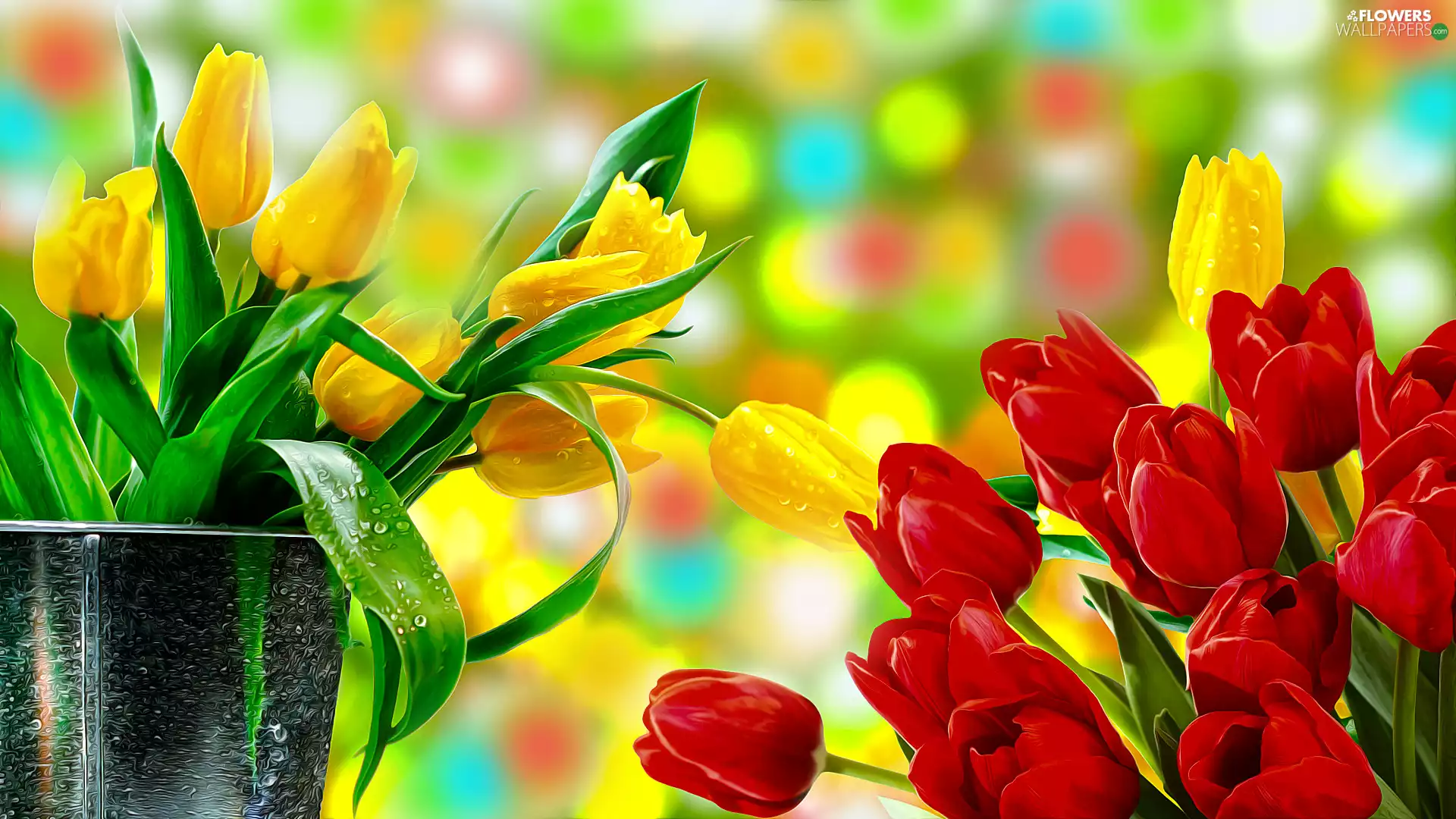 Tulips, graphics, Yellow, Red, Flowers